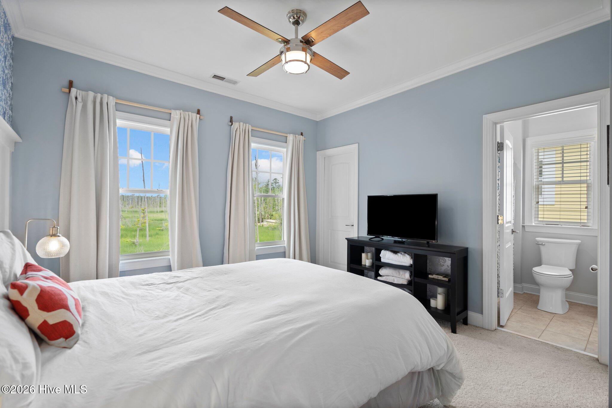 100550866 | Photo 18