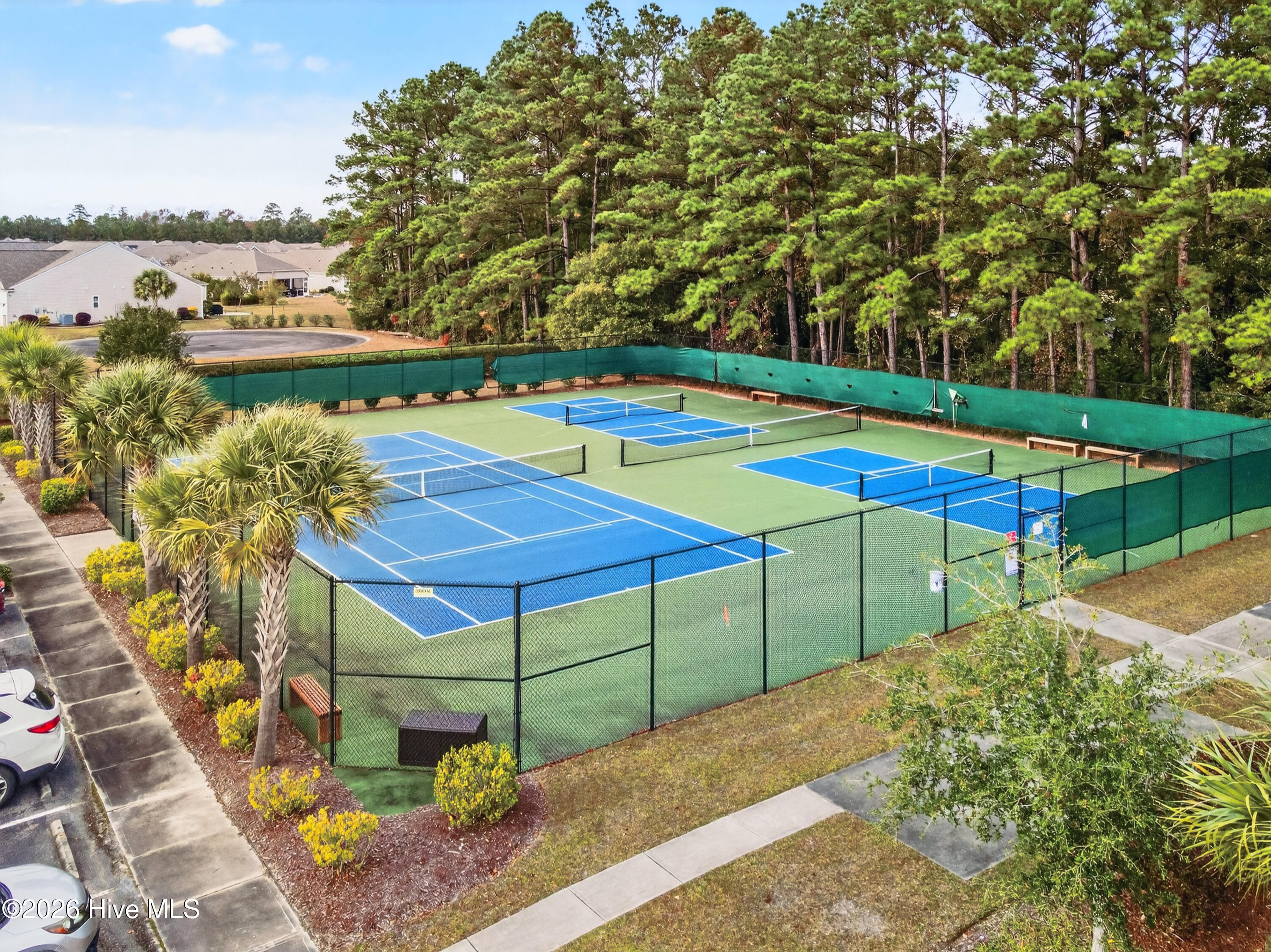 100557336 | Photo 47