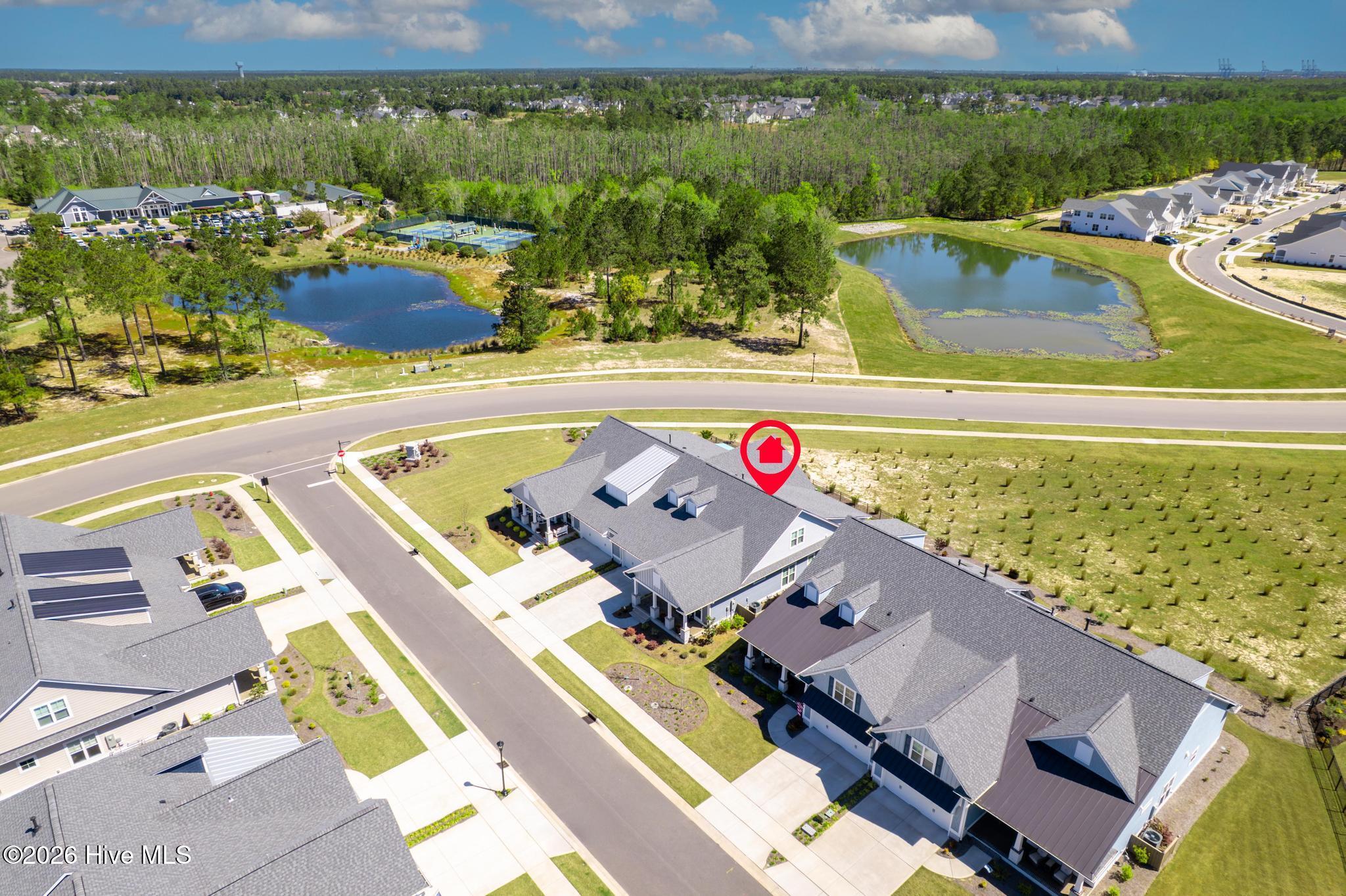 100567650 | Photo 41