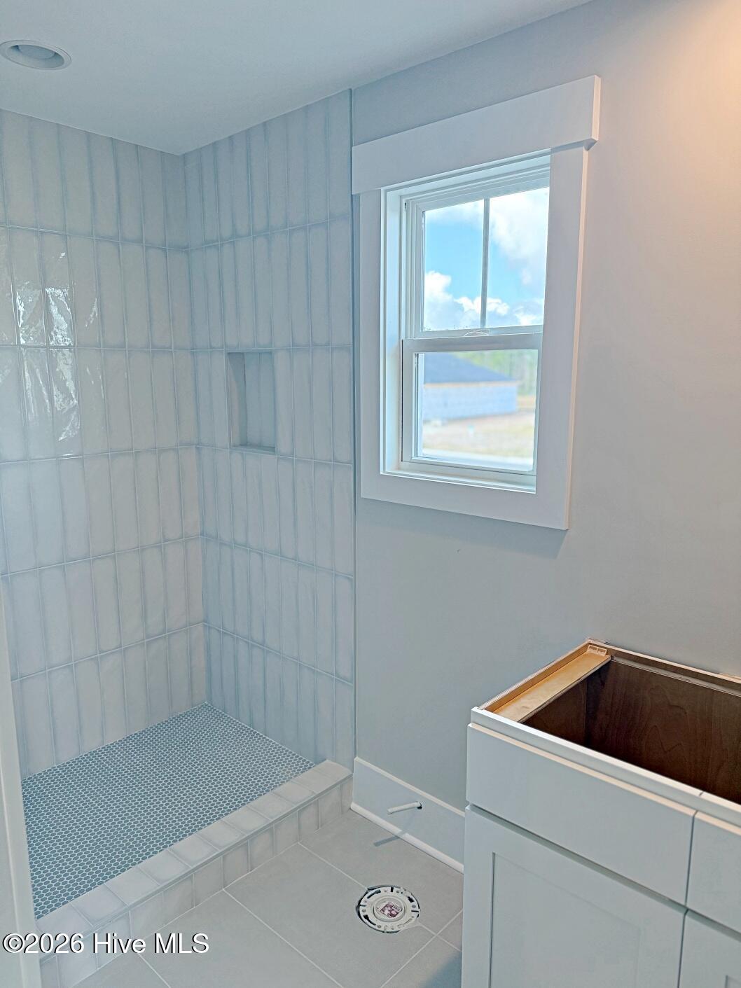 100559103 | Photo 29