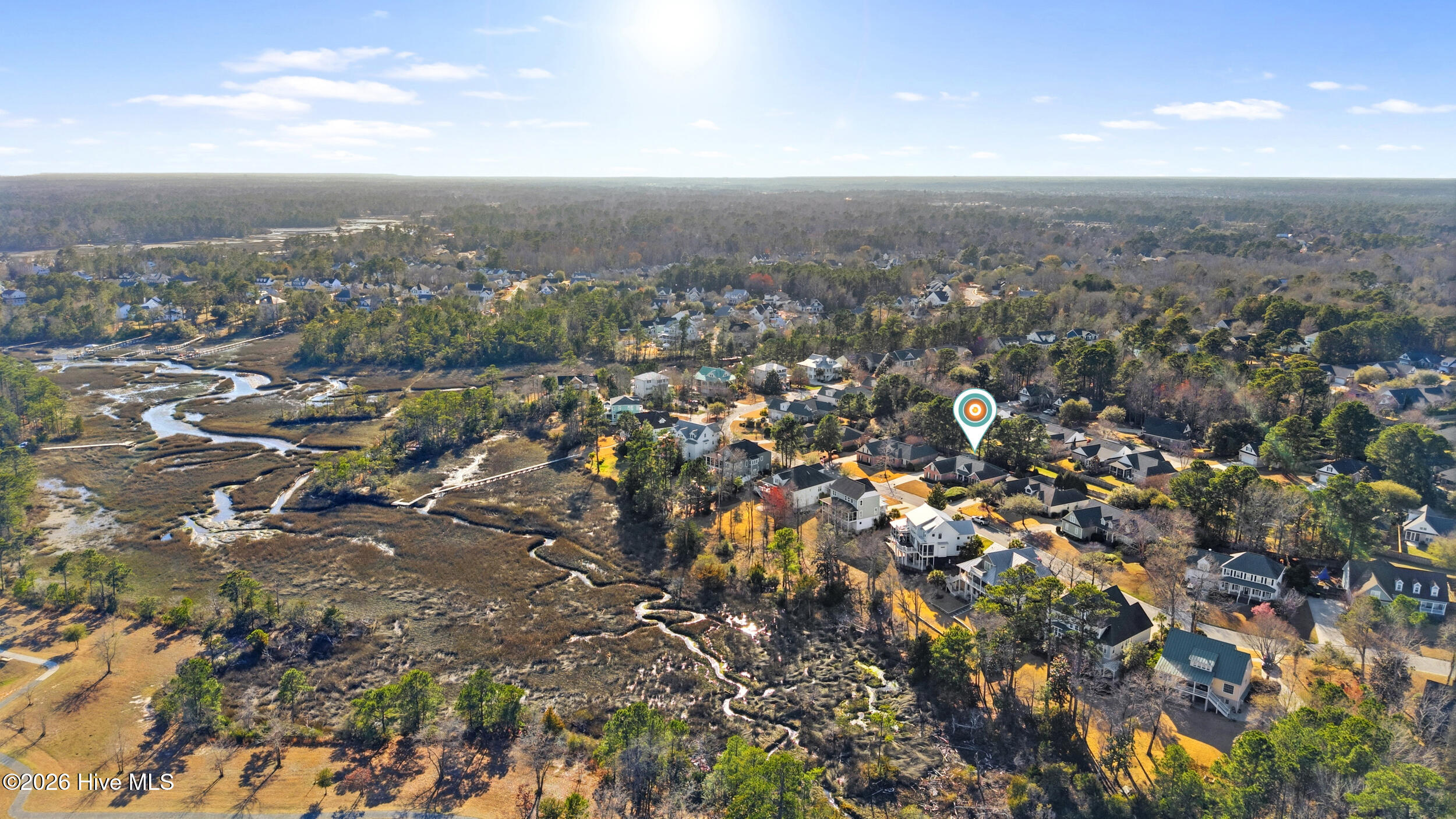 100558582 | Photo 60