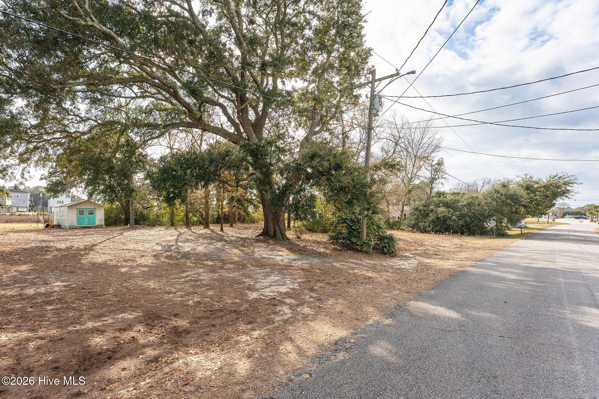 100548589 | Photo 24