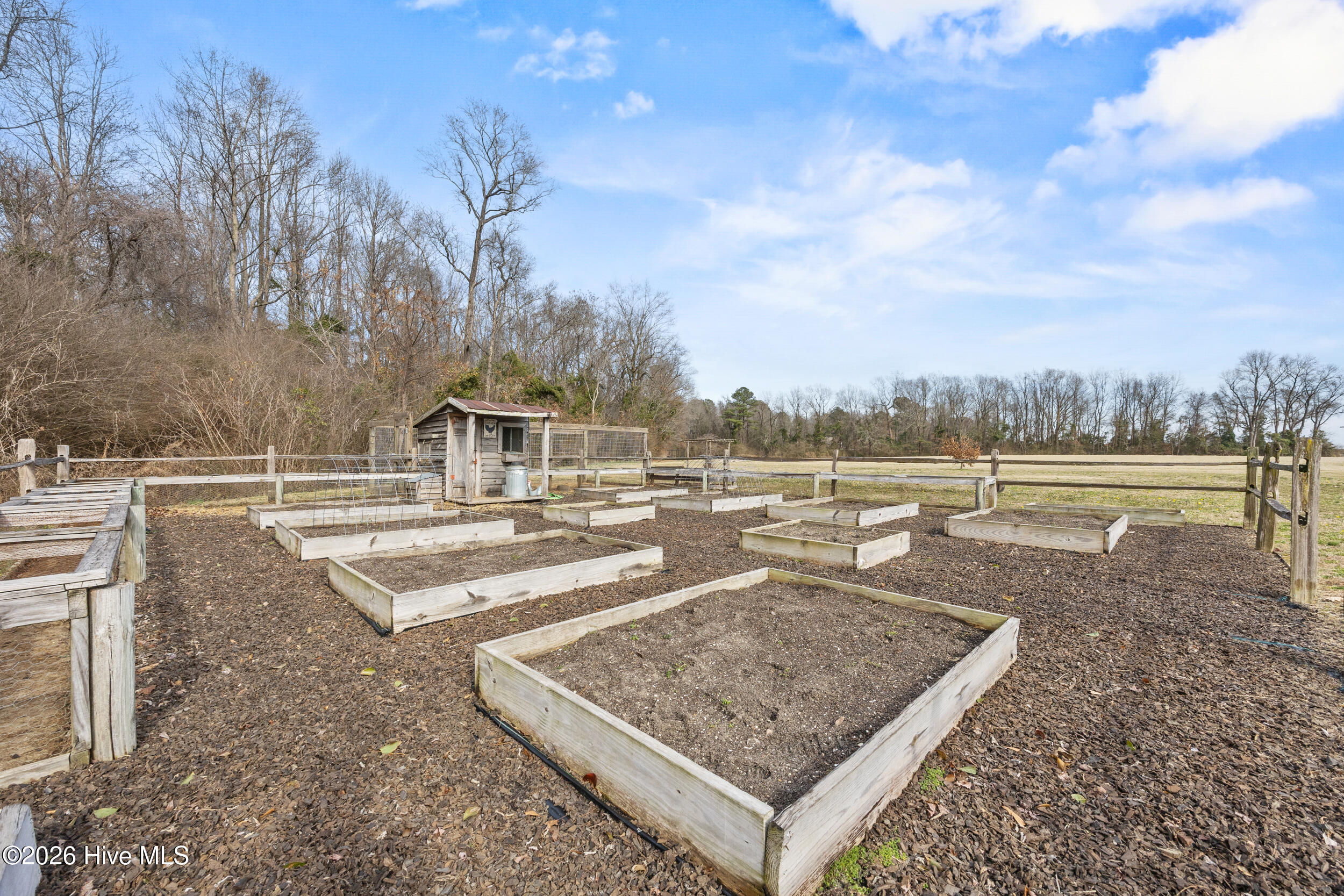 100556913 | Photo 45