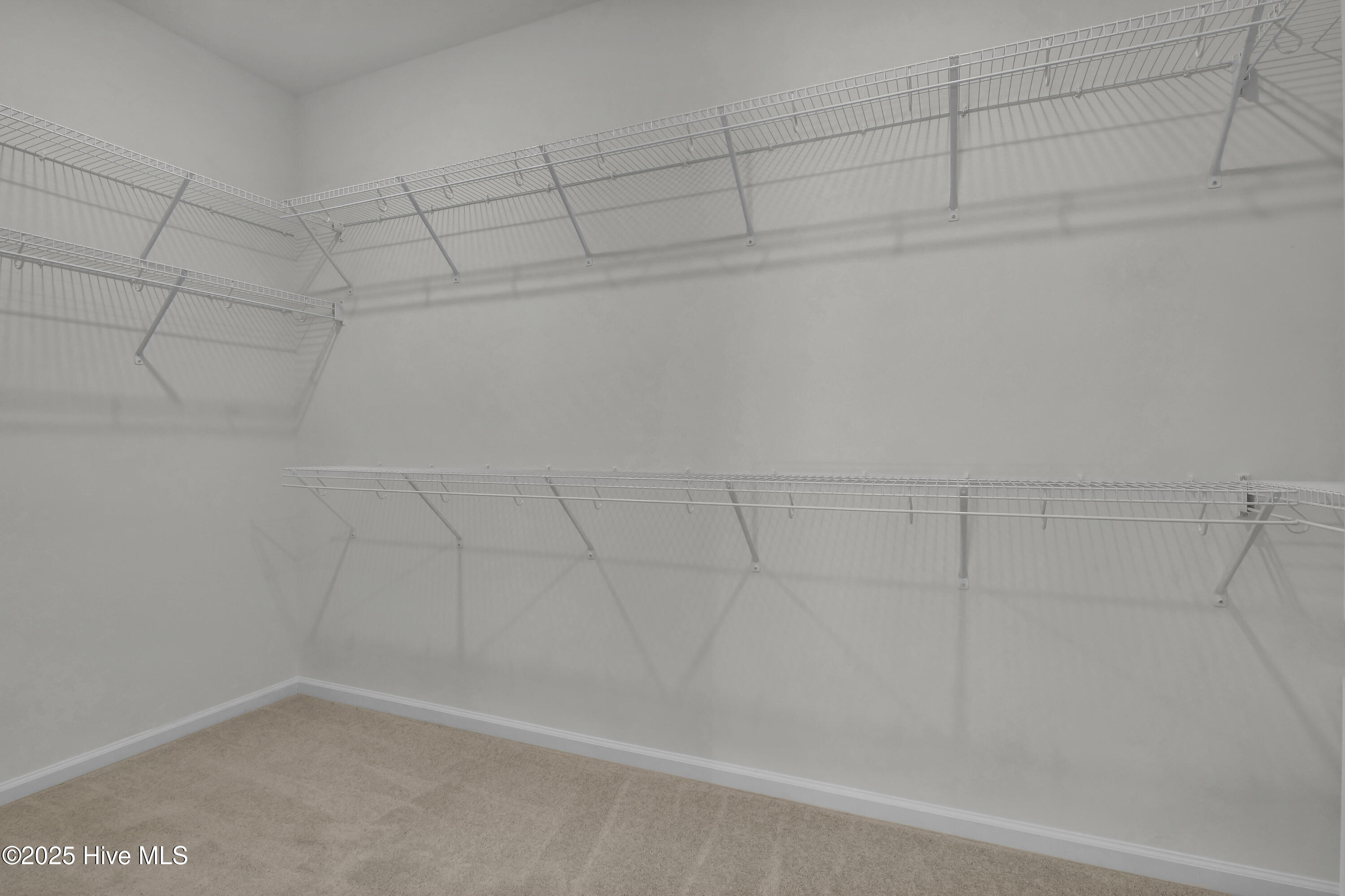 100518809 | Photo 20