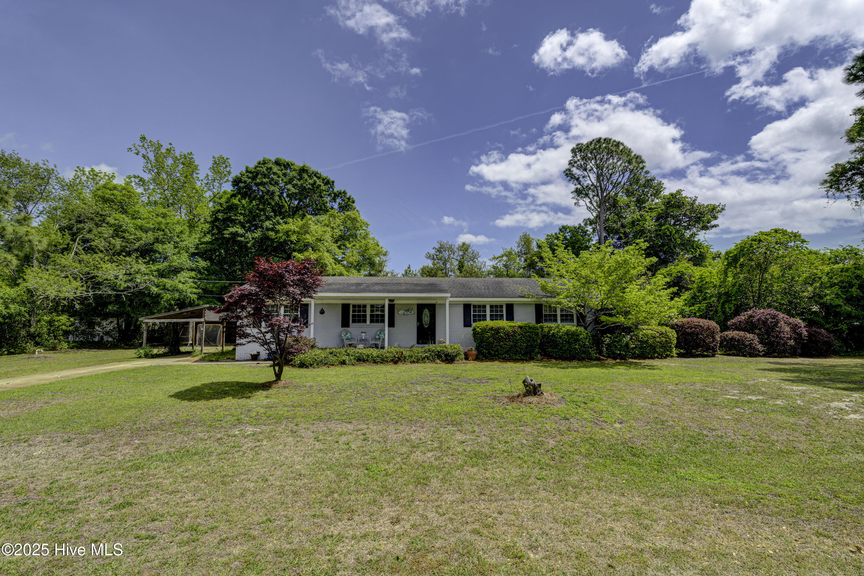 100525965 | Photo 38