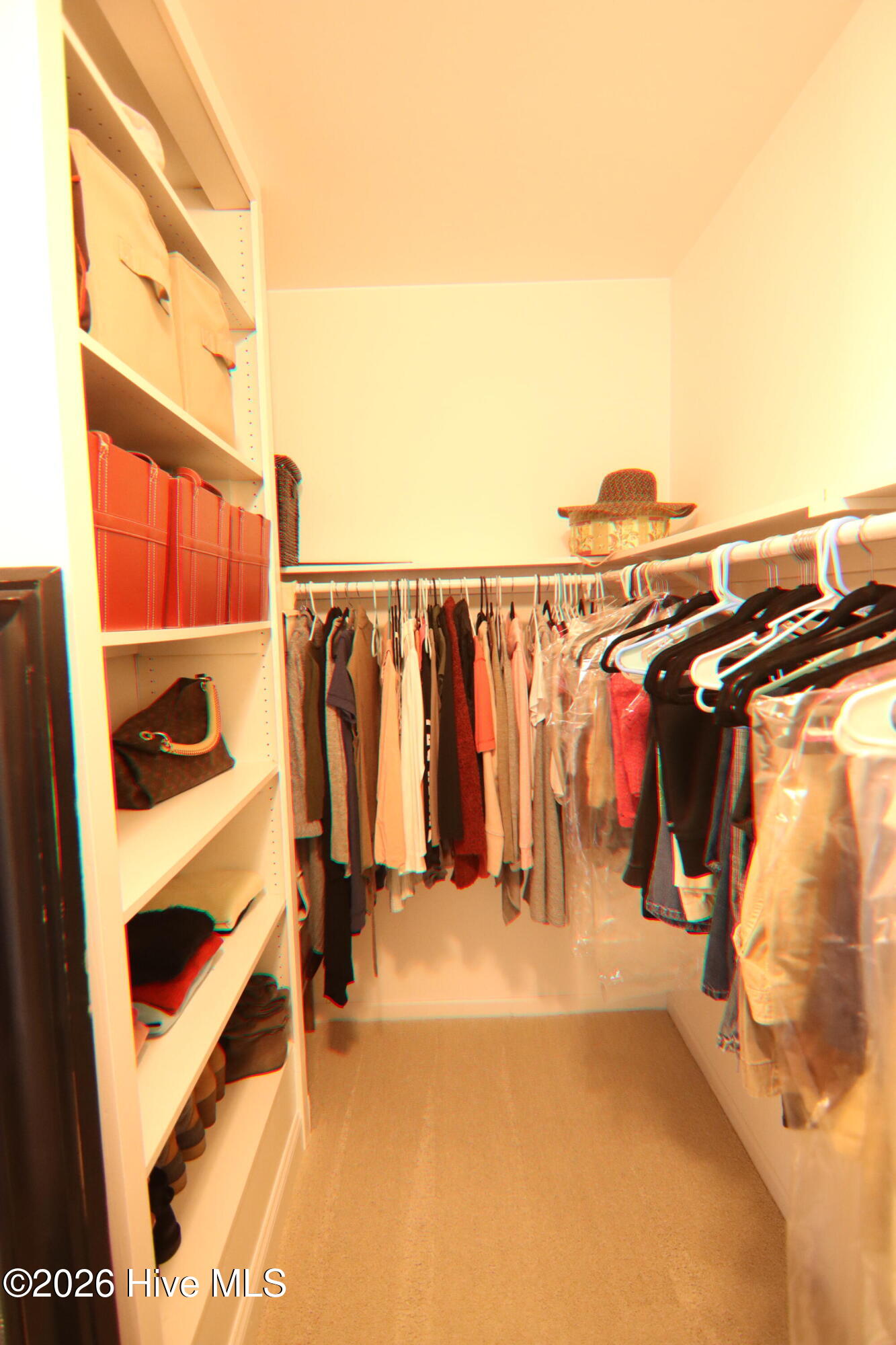 100565825 | Photo 20