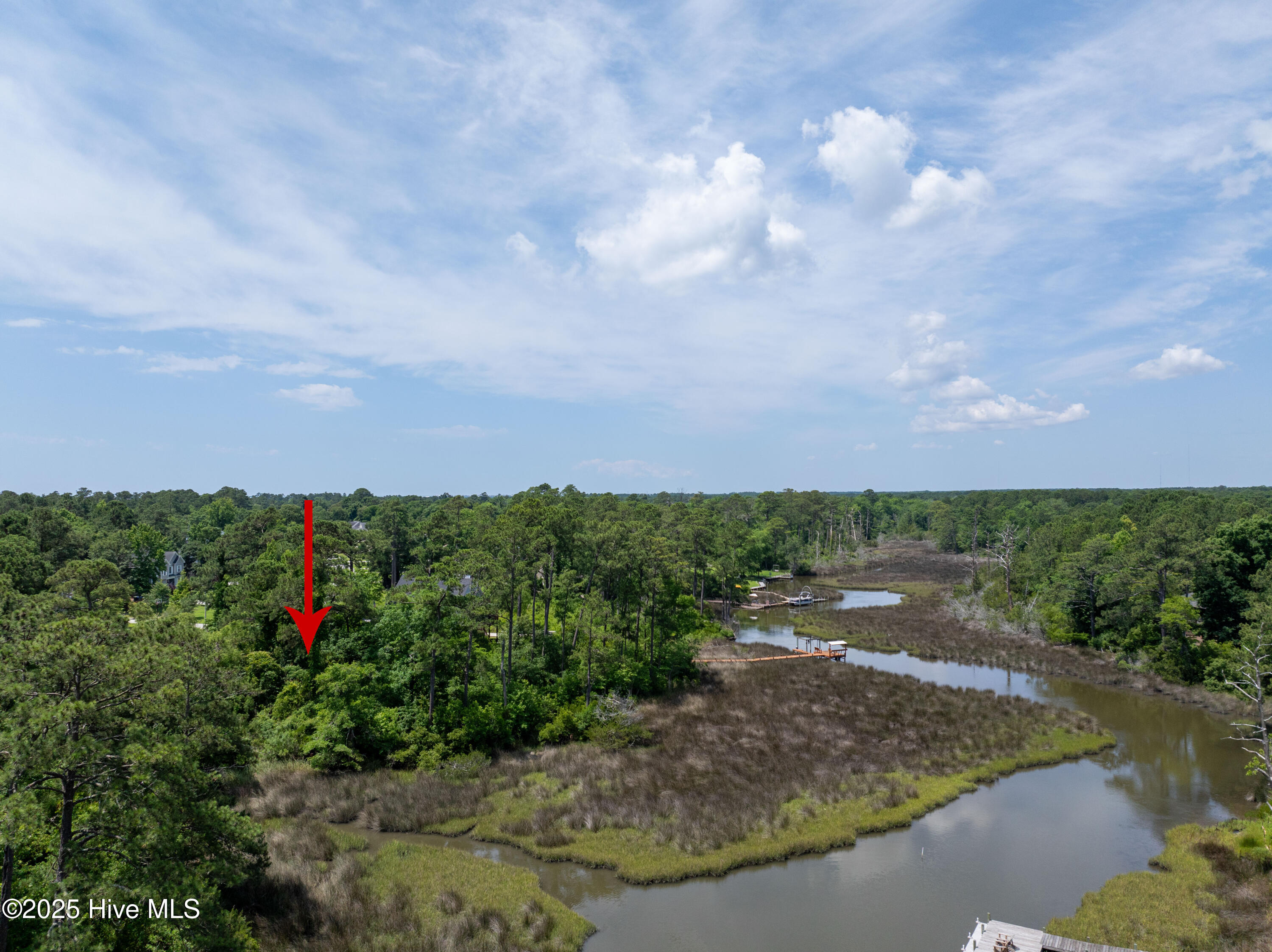 100559279 | Photo 10