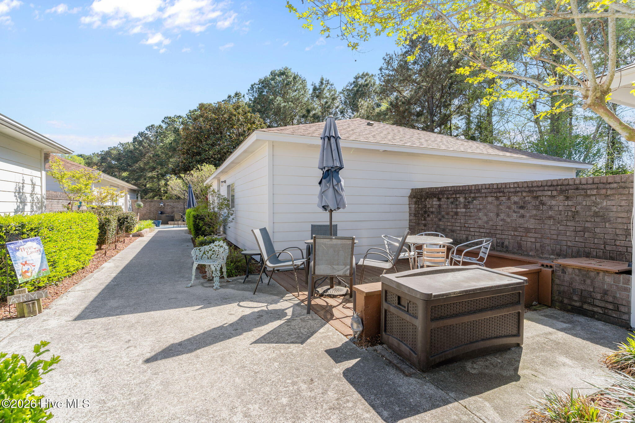 100564364 | Photo 47