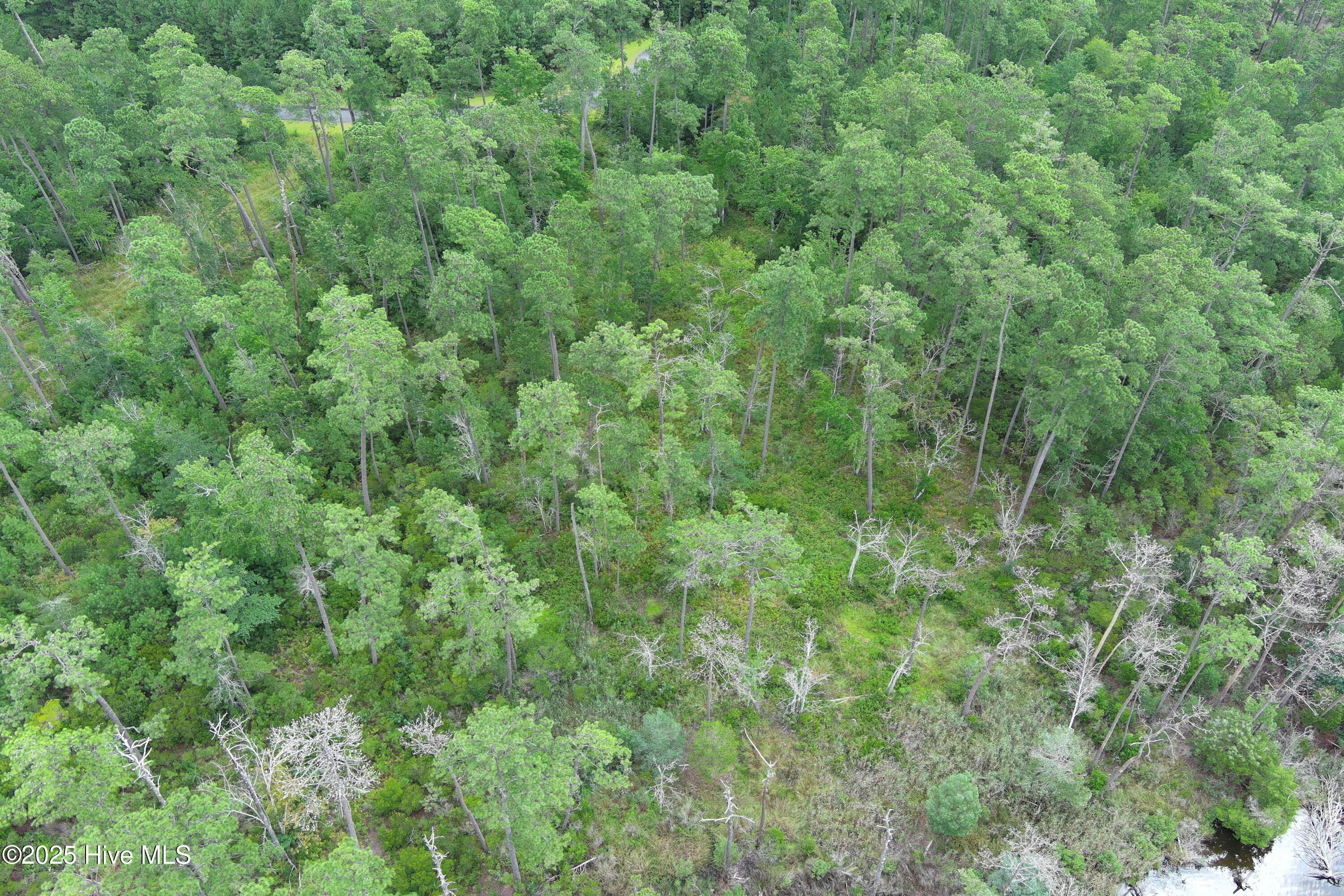 Homes for sale in Merritt, NC | 304 Mason Bay Rd, Merritt, NC 28556 | MLS# 100520612