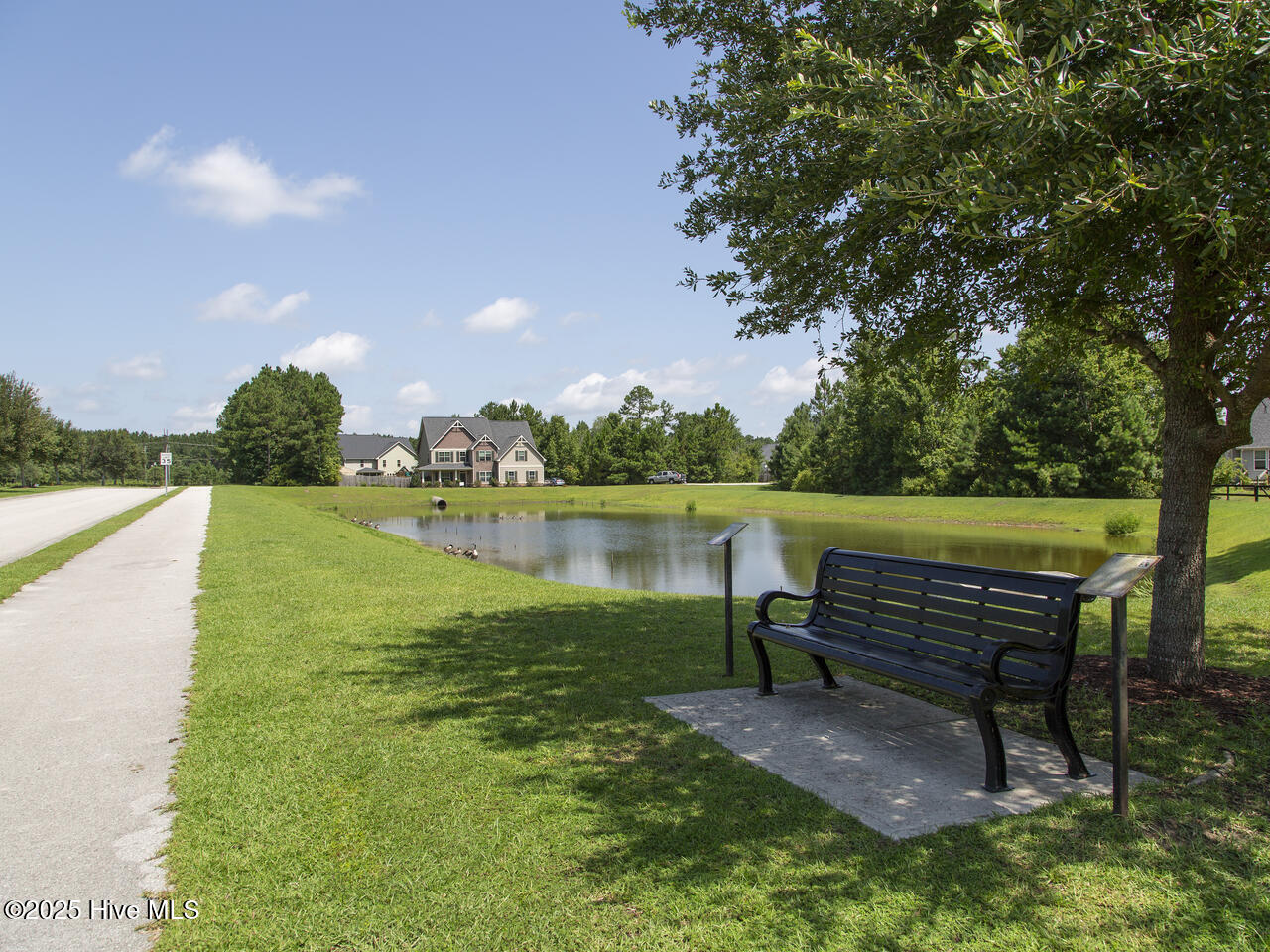 100546498 | Photo 39