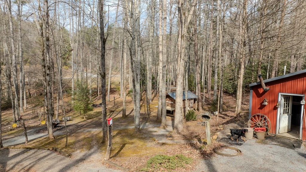 2130 Hedden Road, Murphy, NC 28906 Listing Photo  10
