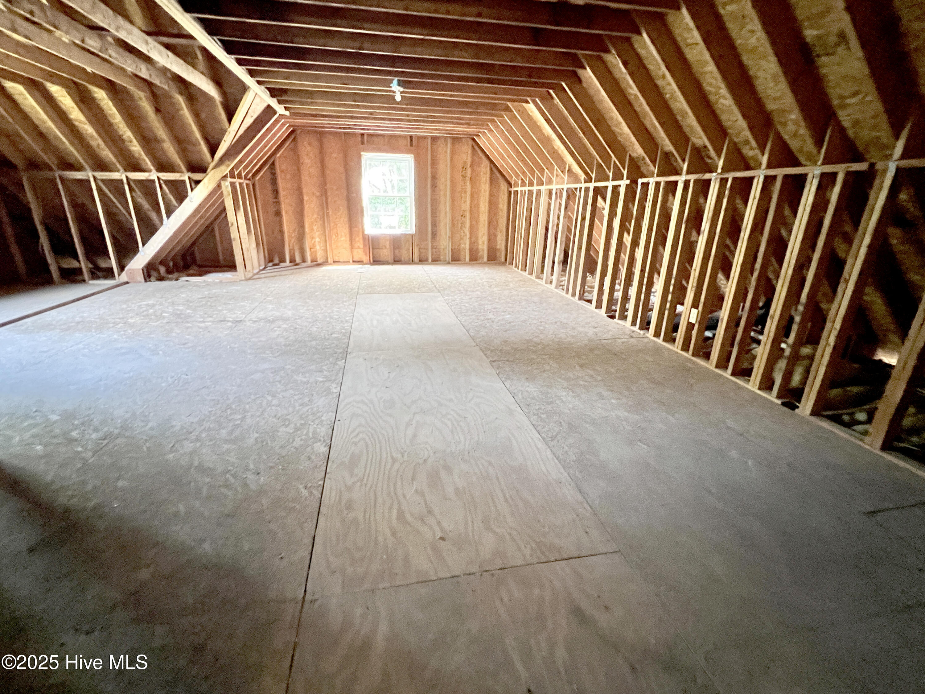 100535017 | Photo 13