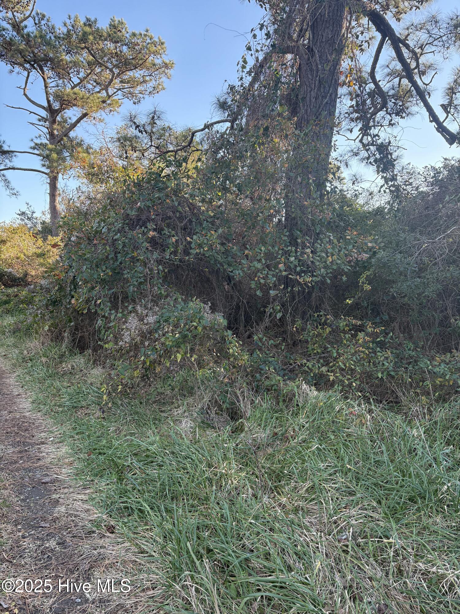 Featured Property 196 Styron Creek 