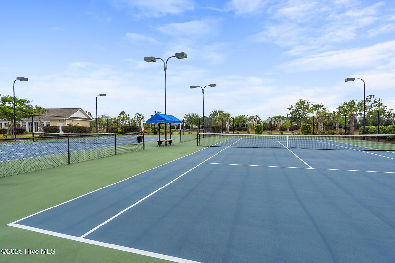 100544453 | Photo 43