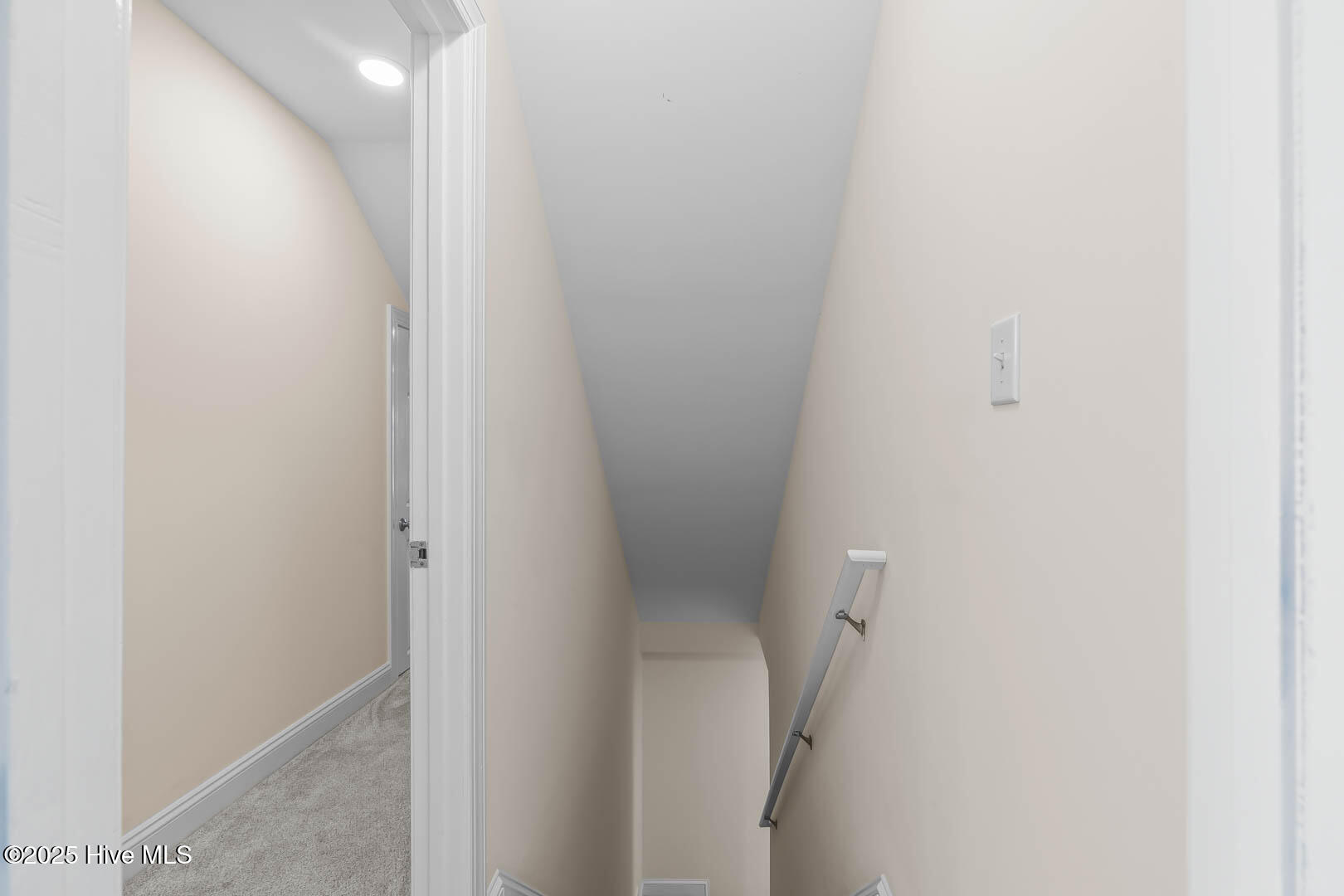 100512903 | Photo 48