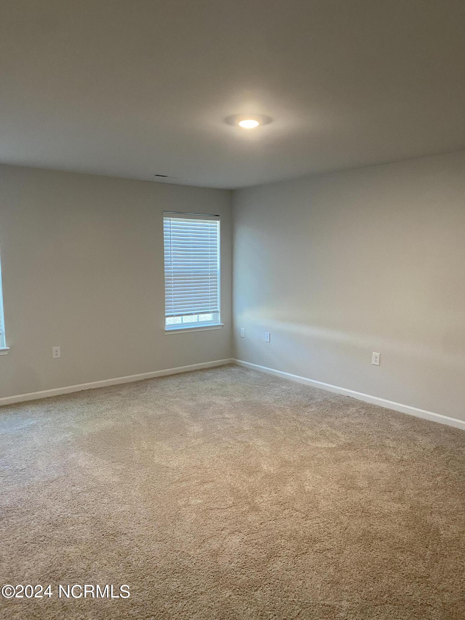 Downstairs master bedroom