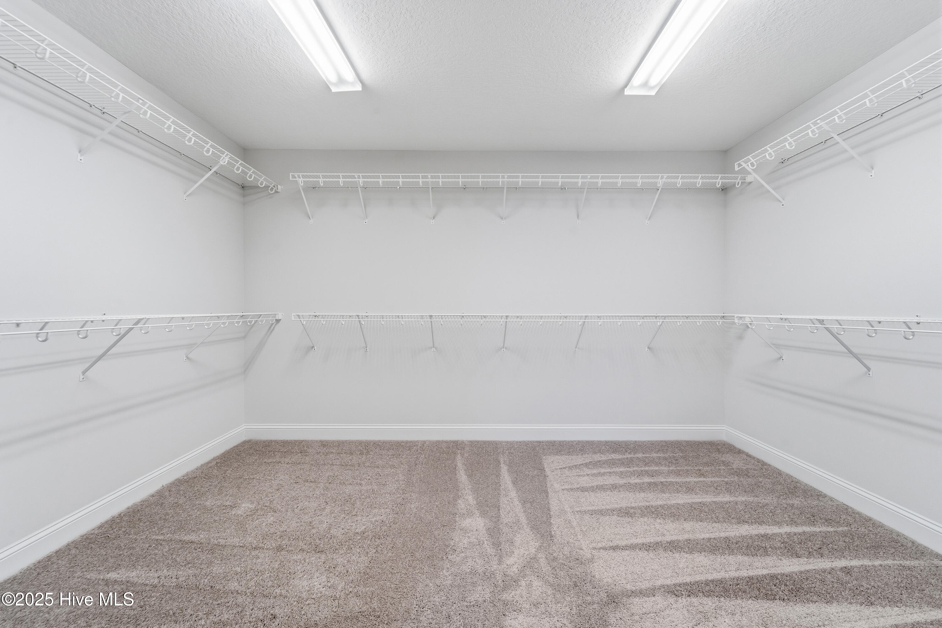 100507195 | Photo 38