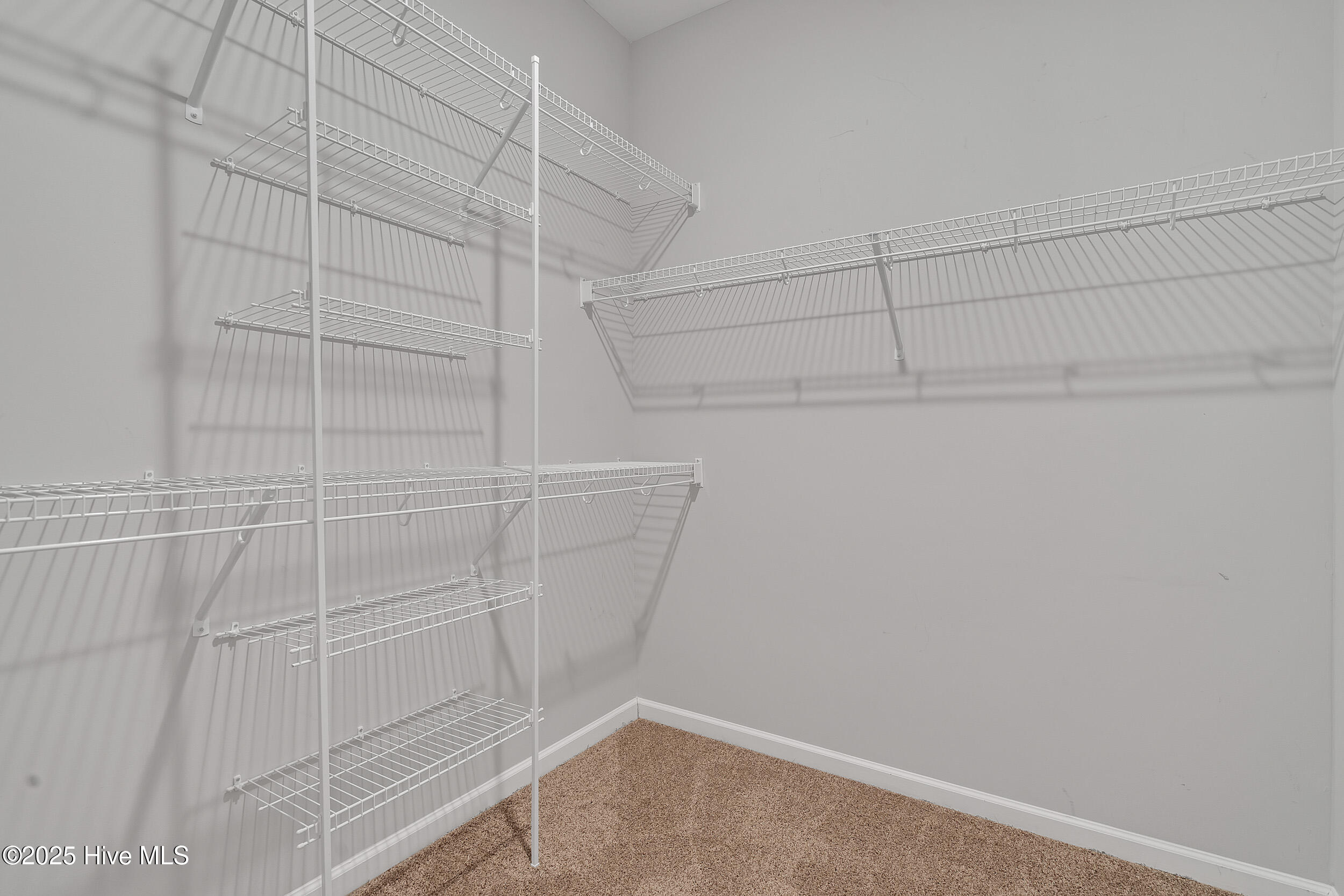 100544849 | Photo 29