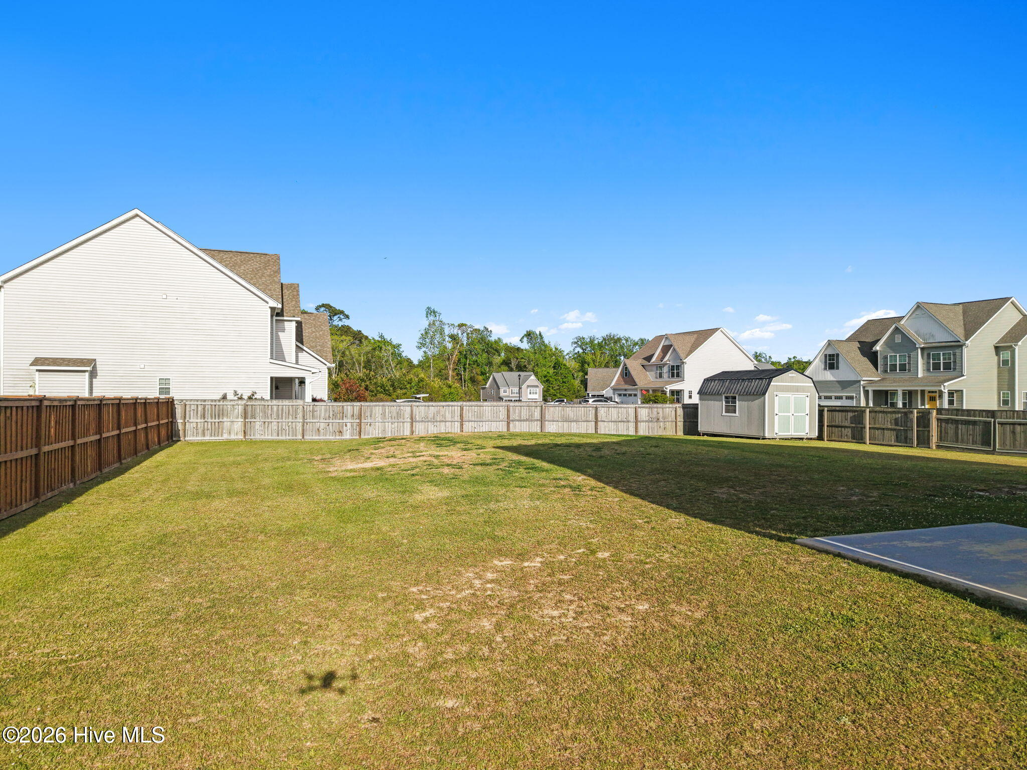 100564954 | Photo 47