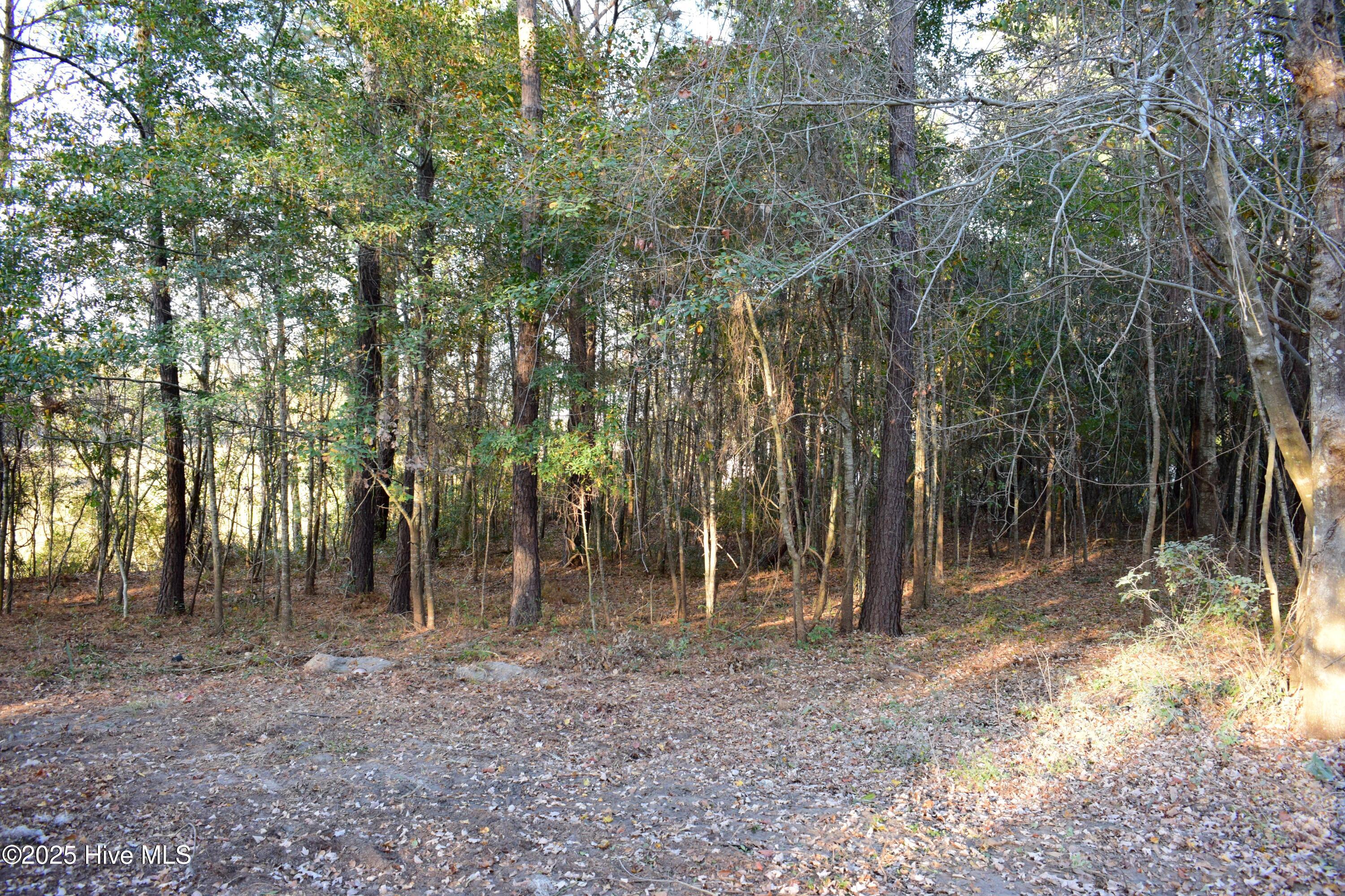 100543289 | Photo 52