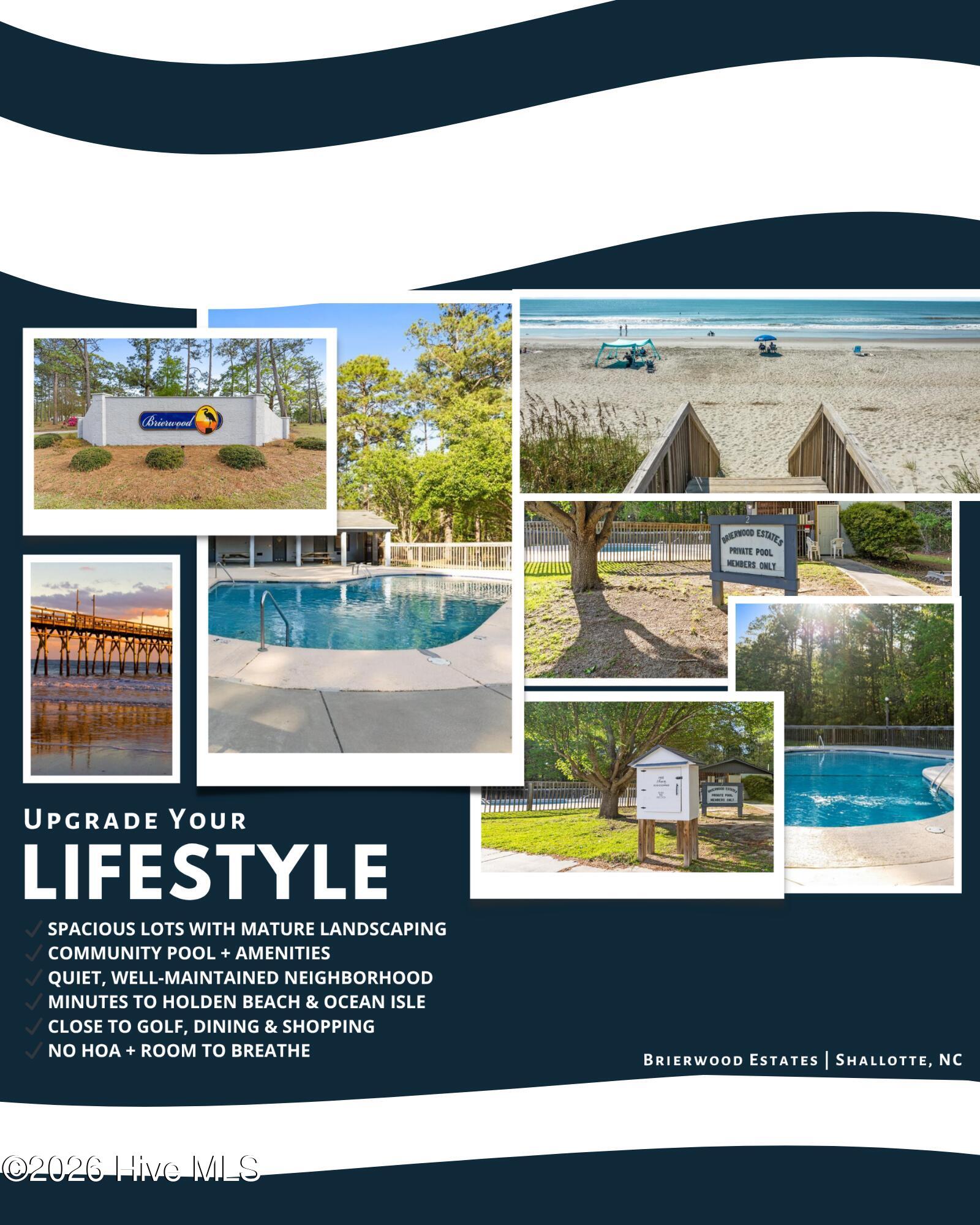 100551977 | Photo 51