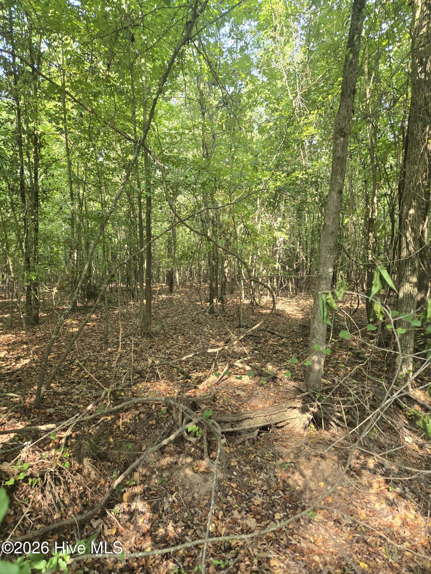 4th image of 0 Deer Run Ct, Lincolnton, GA 30817 | MLS# 100598162