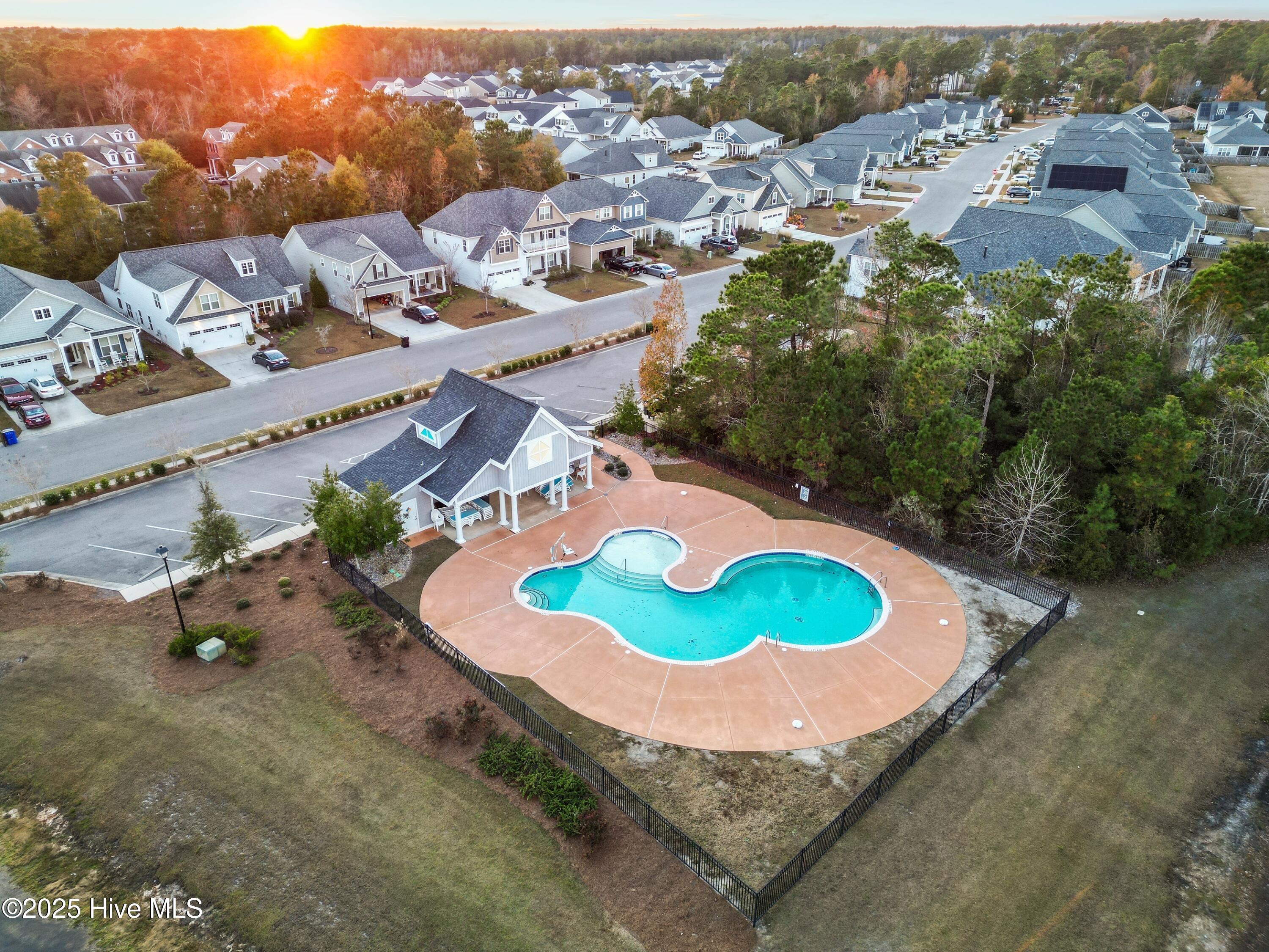 100539123 | Photo 55