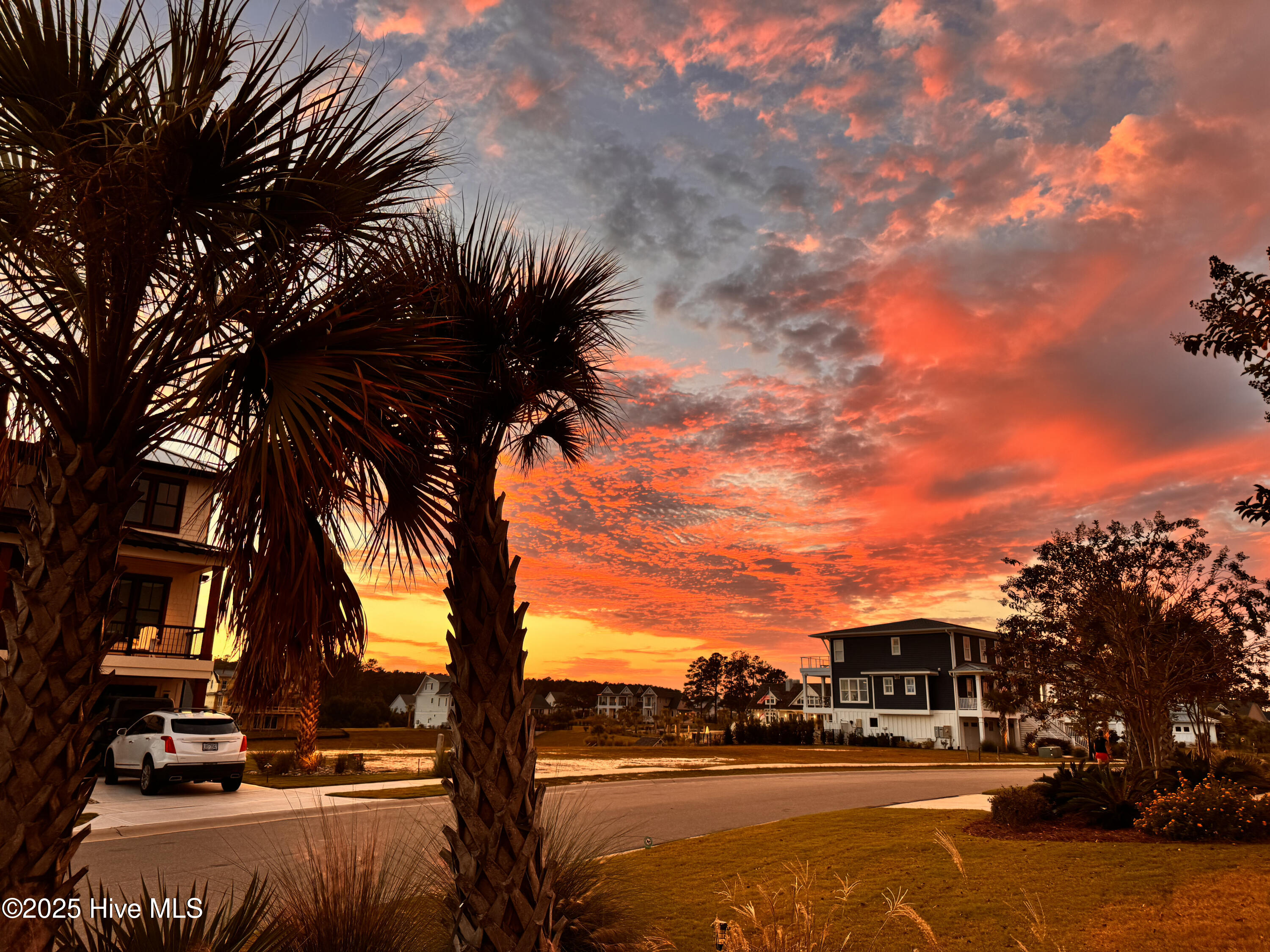 100545282 | Photo 59