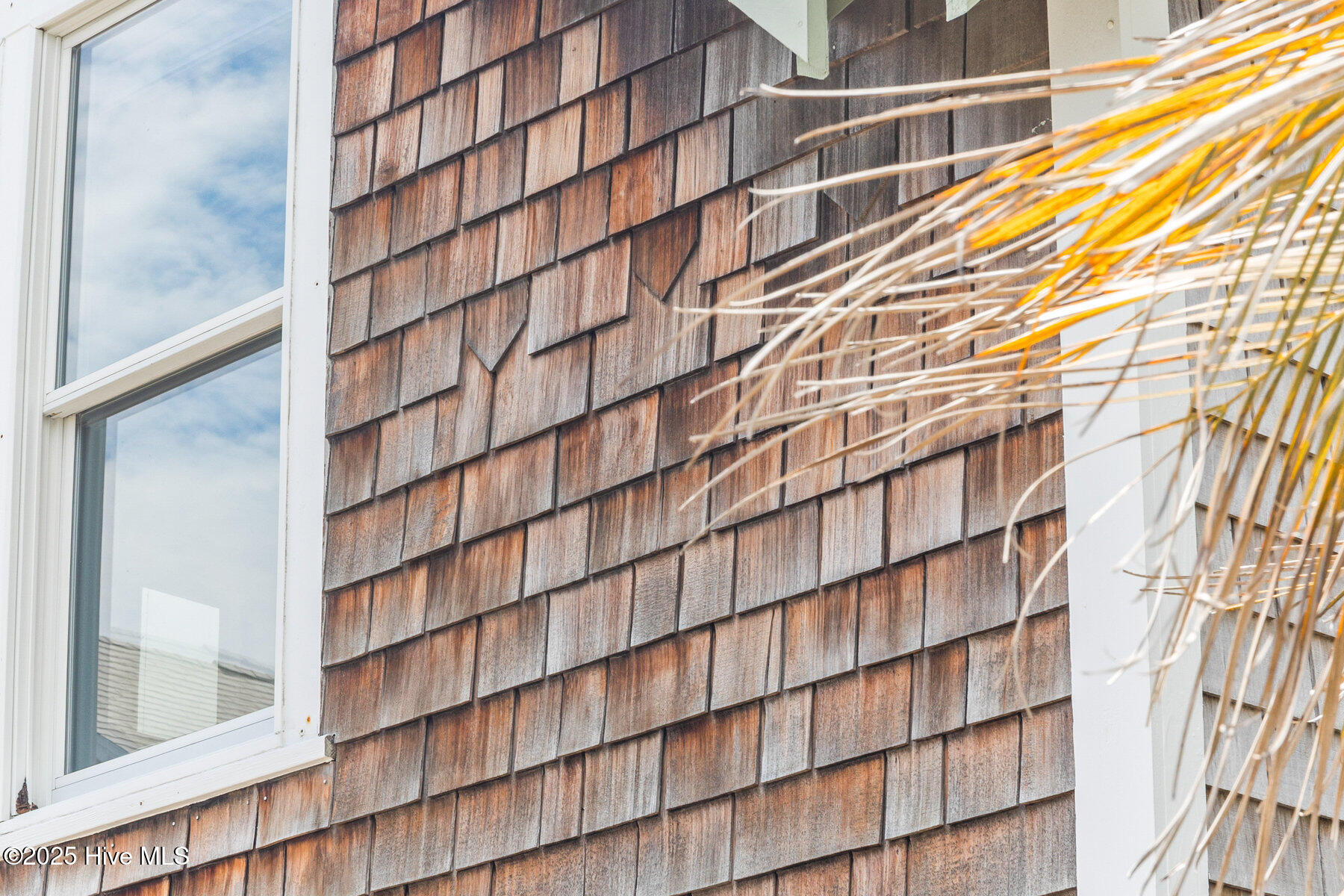 100521307 | Photo 43