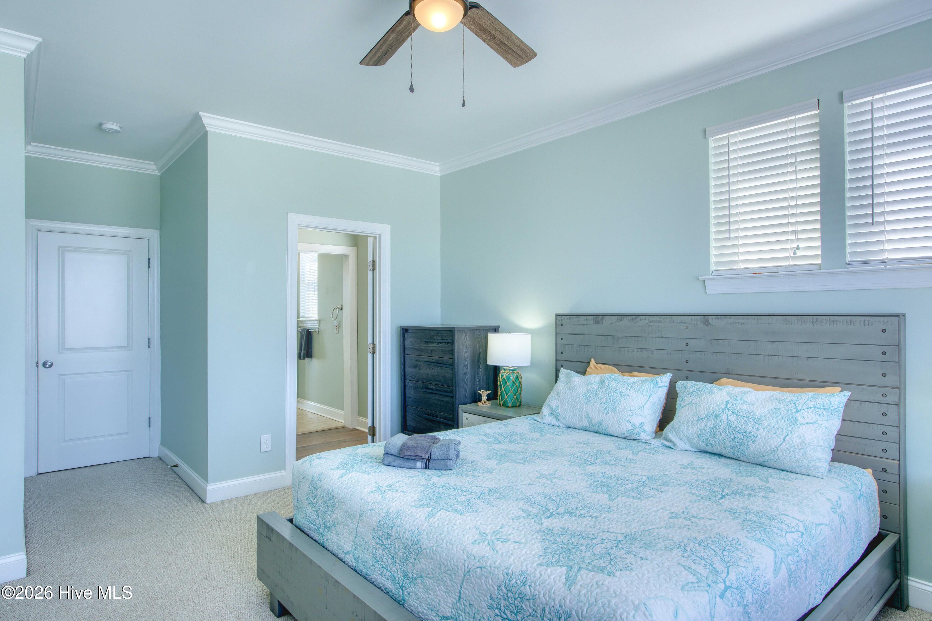 100558163 | Photo 15