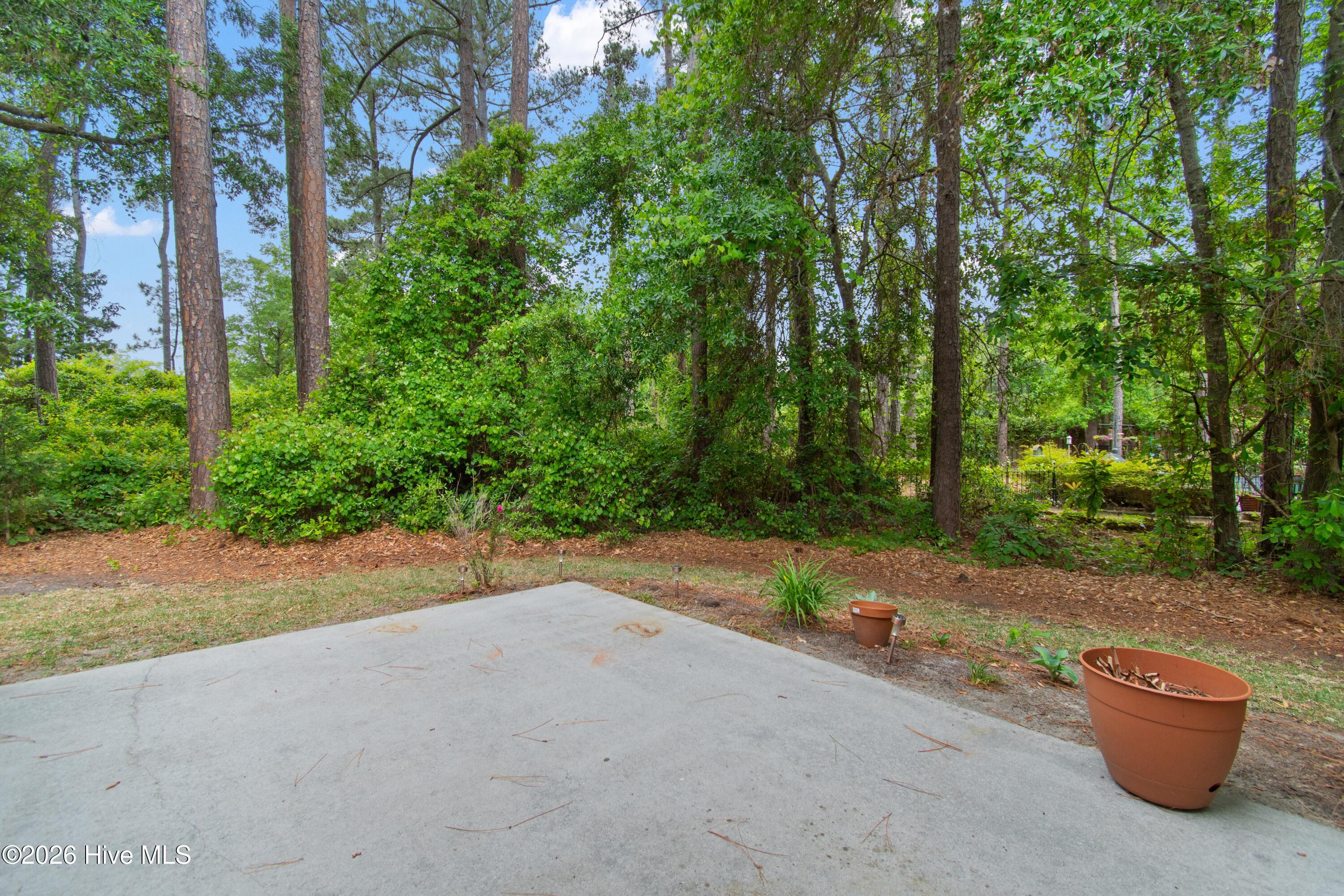 100570075 | Photo 33