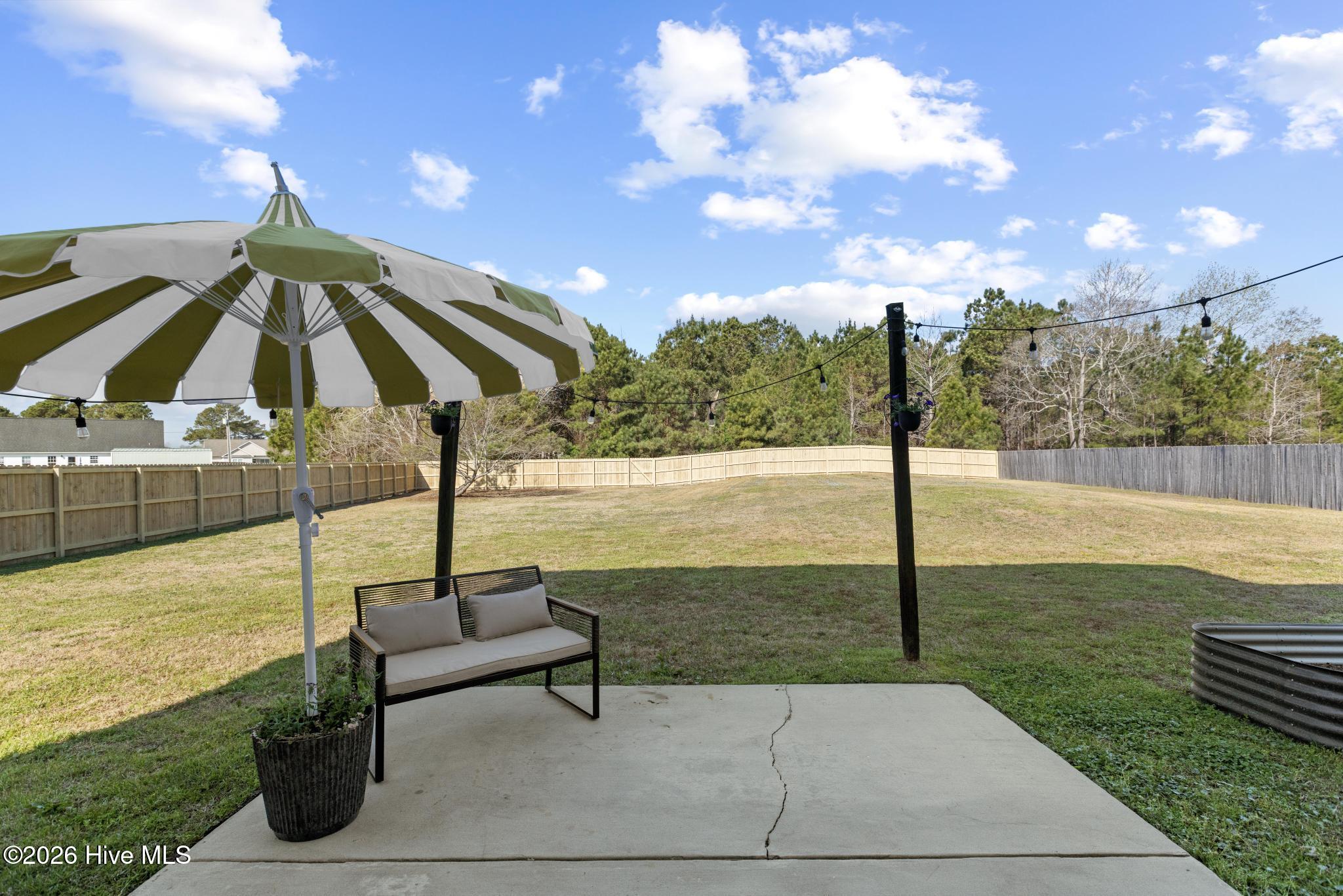 100564842 | Photo 27