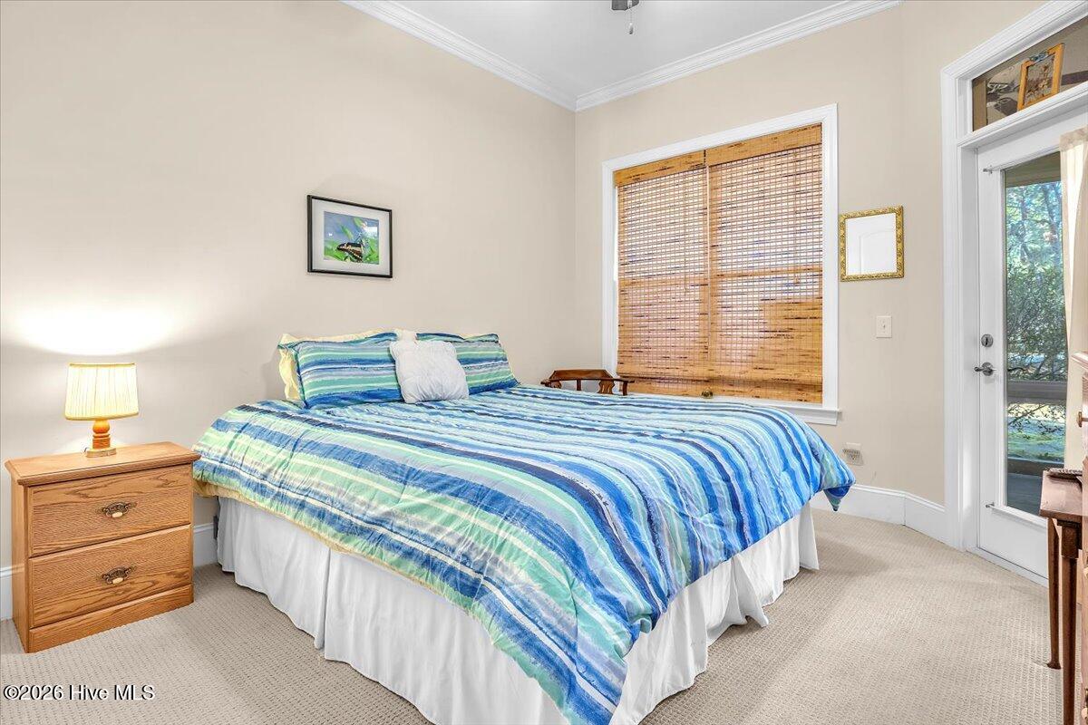 100556407 | Photo 38