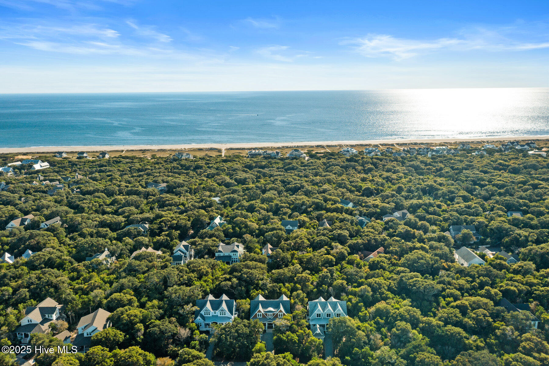 100401243 | Photo 91