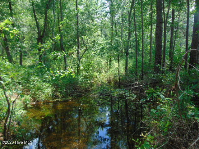 490 Springhill Church Road, Hamlet, NC, 28345