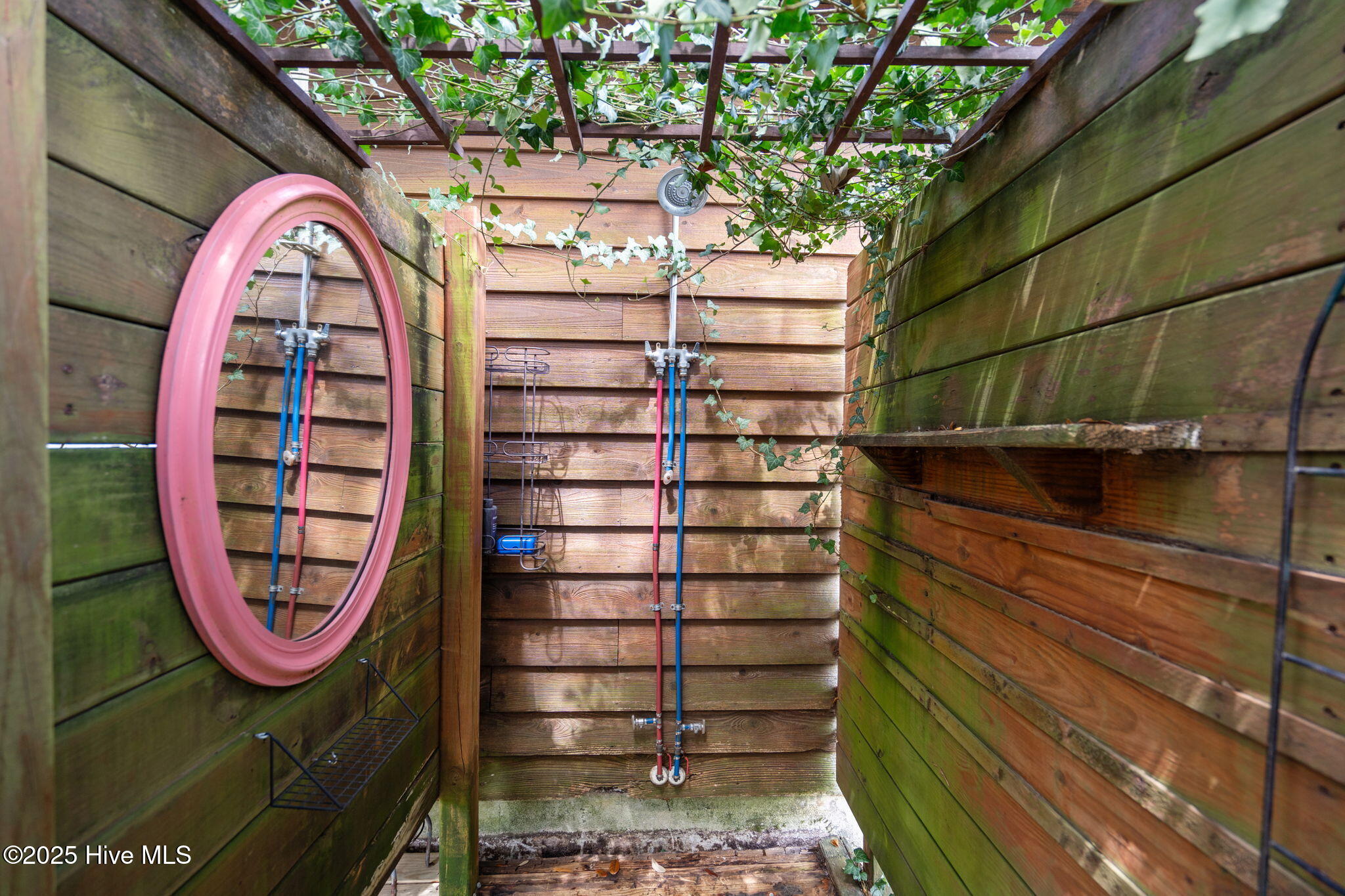 100522385 | Photo 38