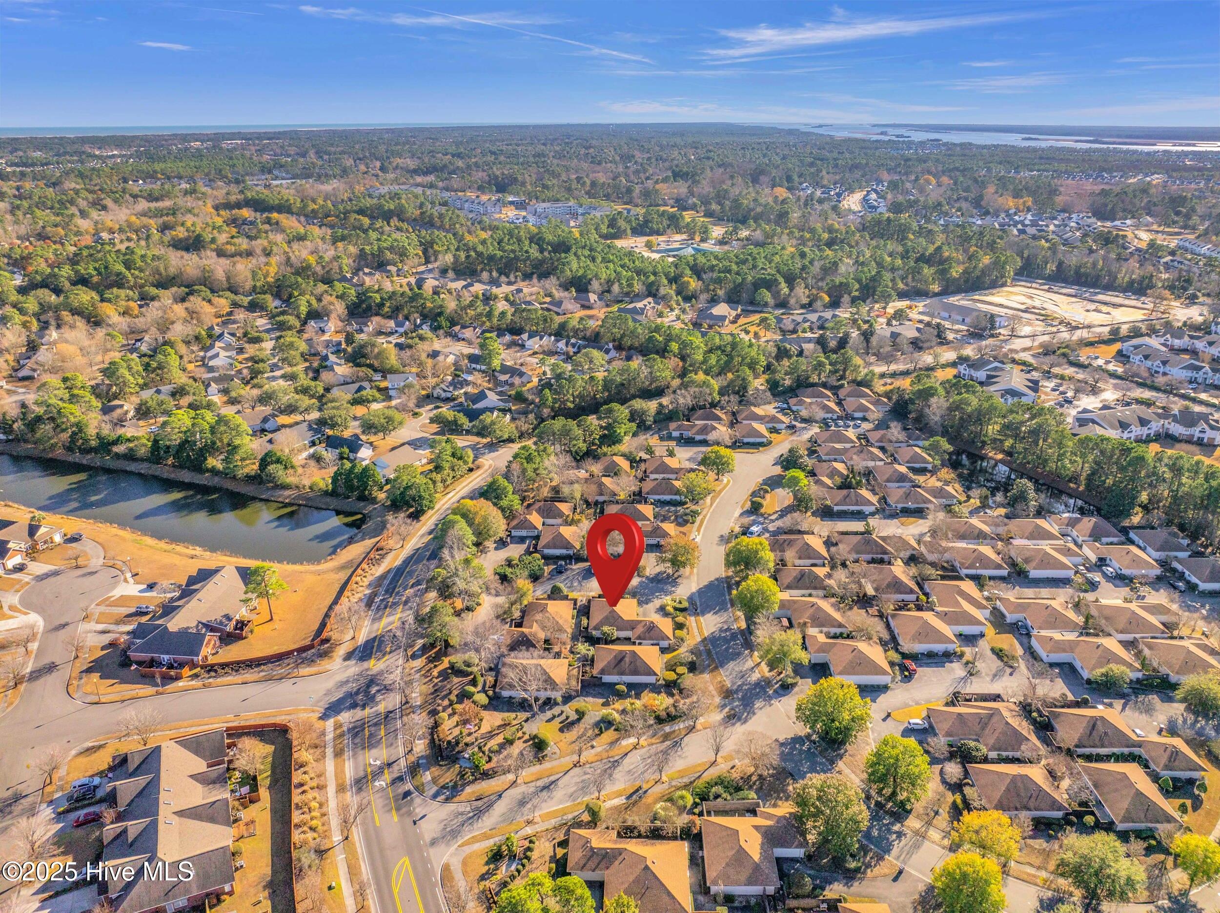 100547235 | Photo 35