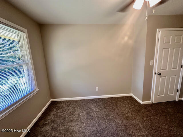 100542566 | Photo 30