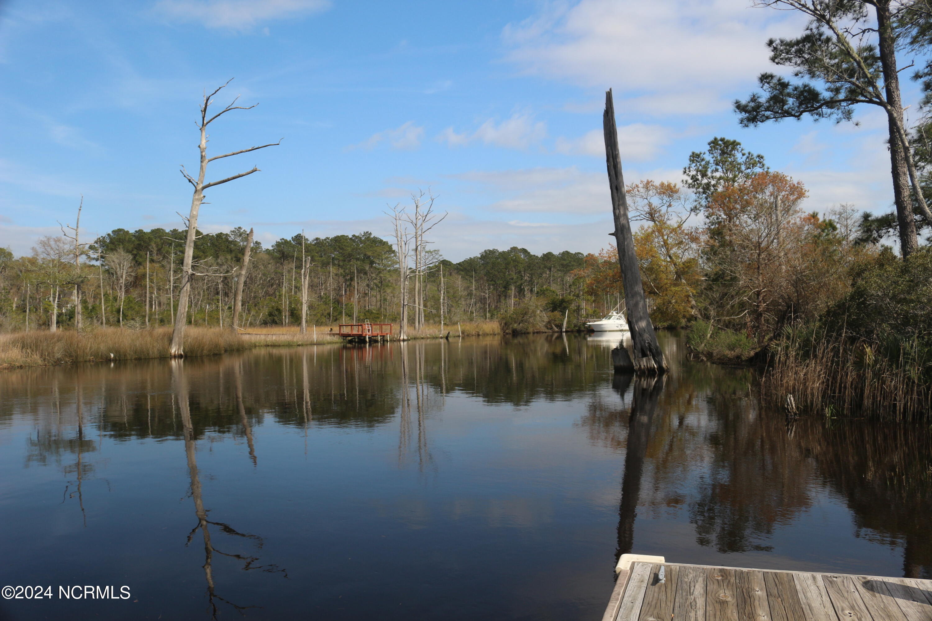 100495001 | Photo 18