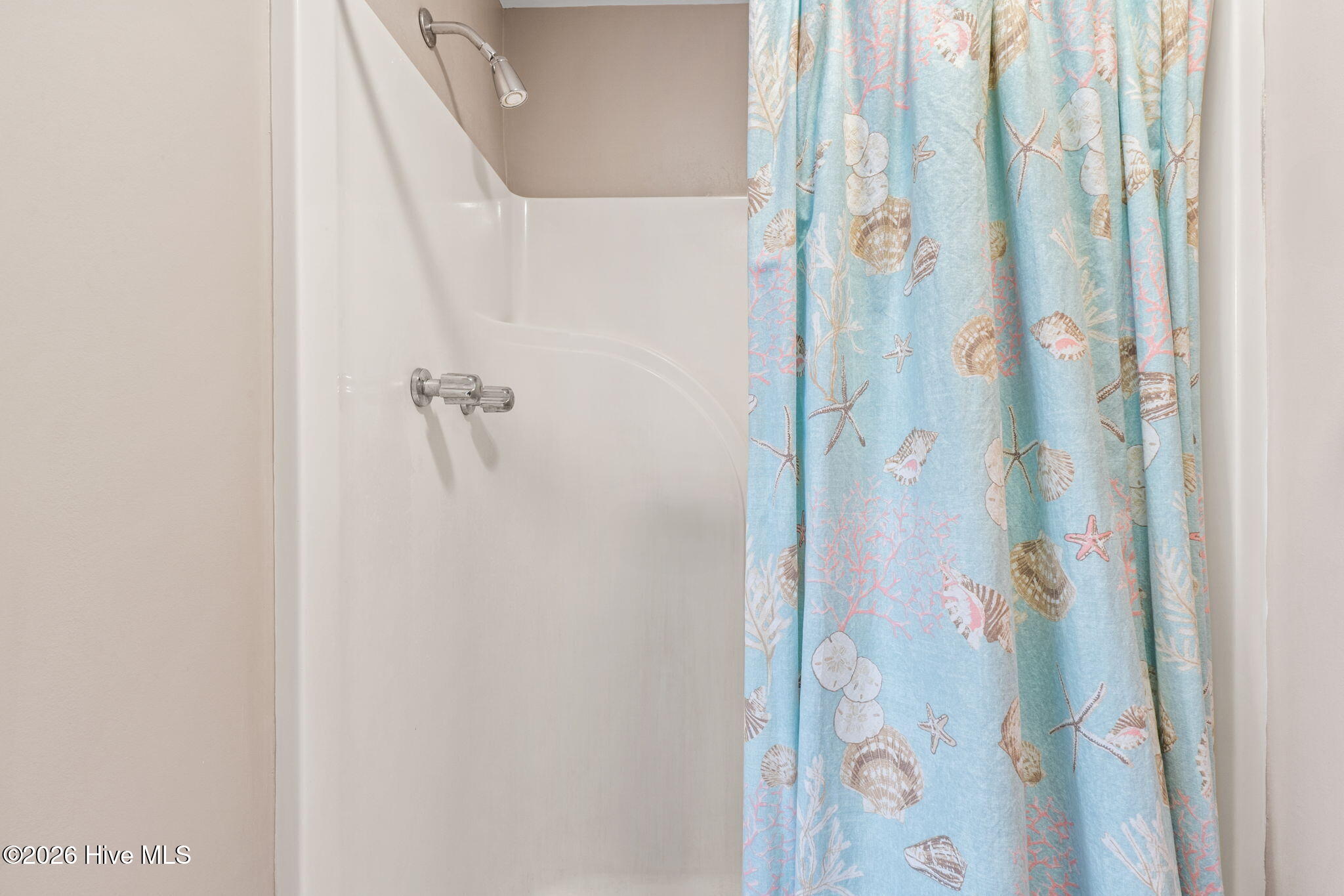 100556771 | Photo 19