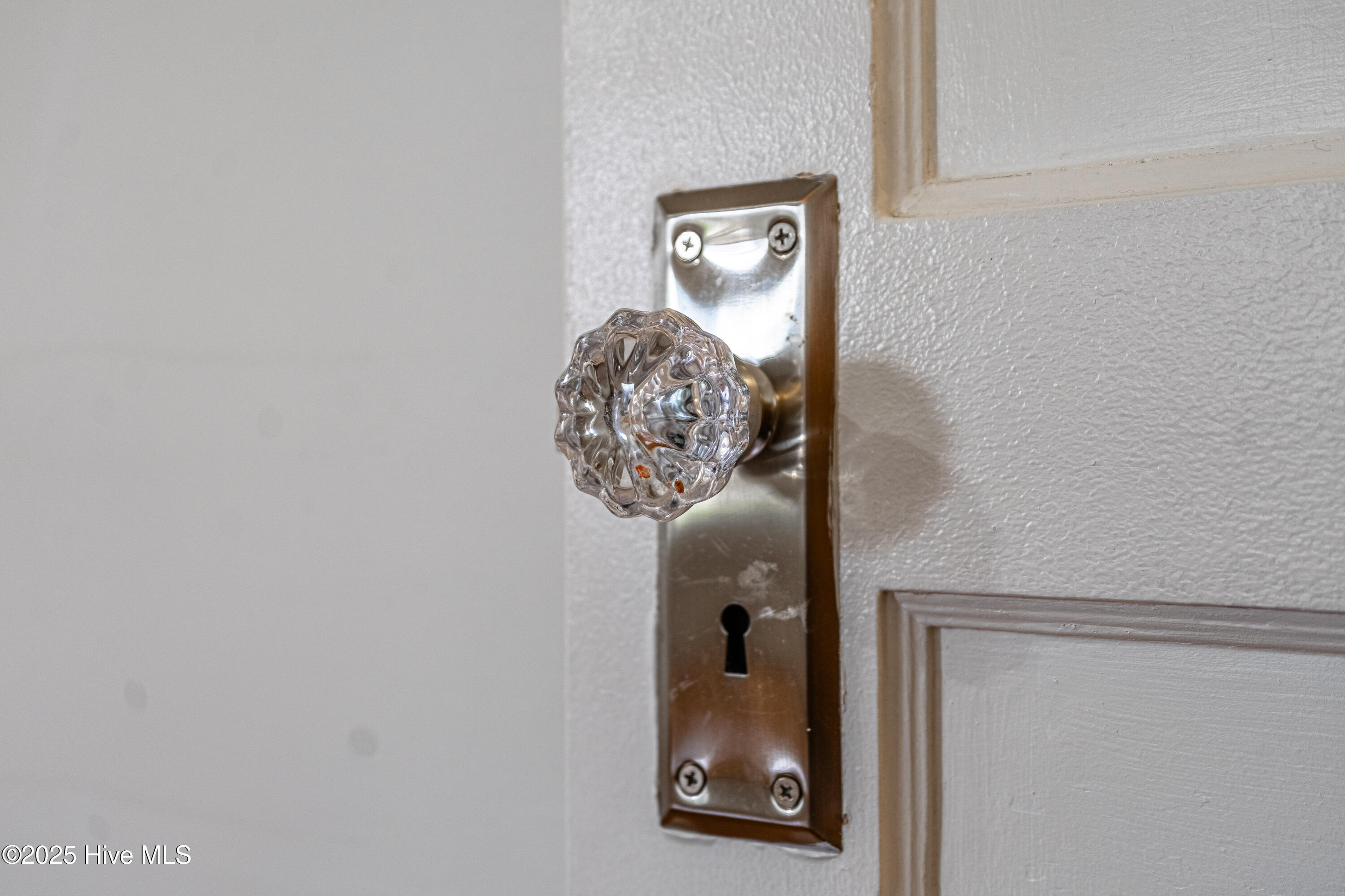 100543227 | Photo 48