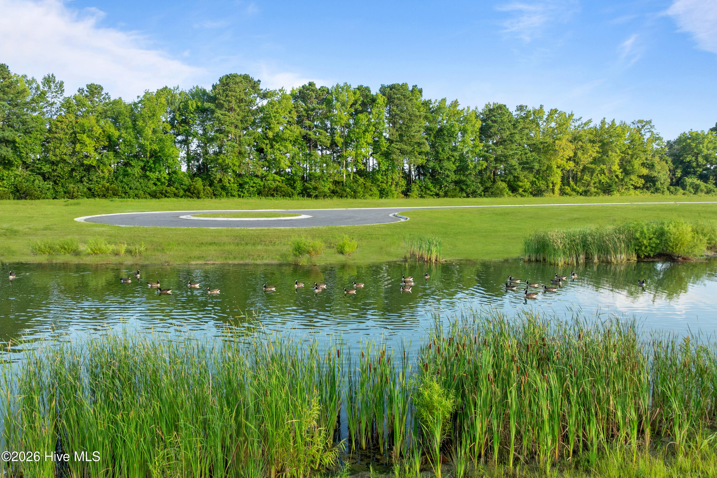 Homes for sale in South Mills, NC | 209 Myrtle Ln, South Mills, NC 27976 | MLS# 100551532
