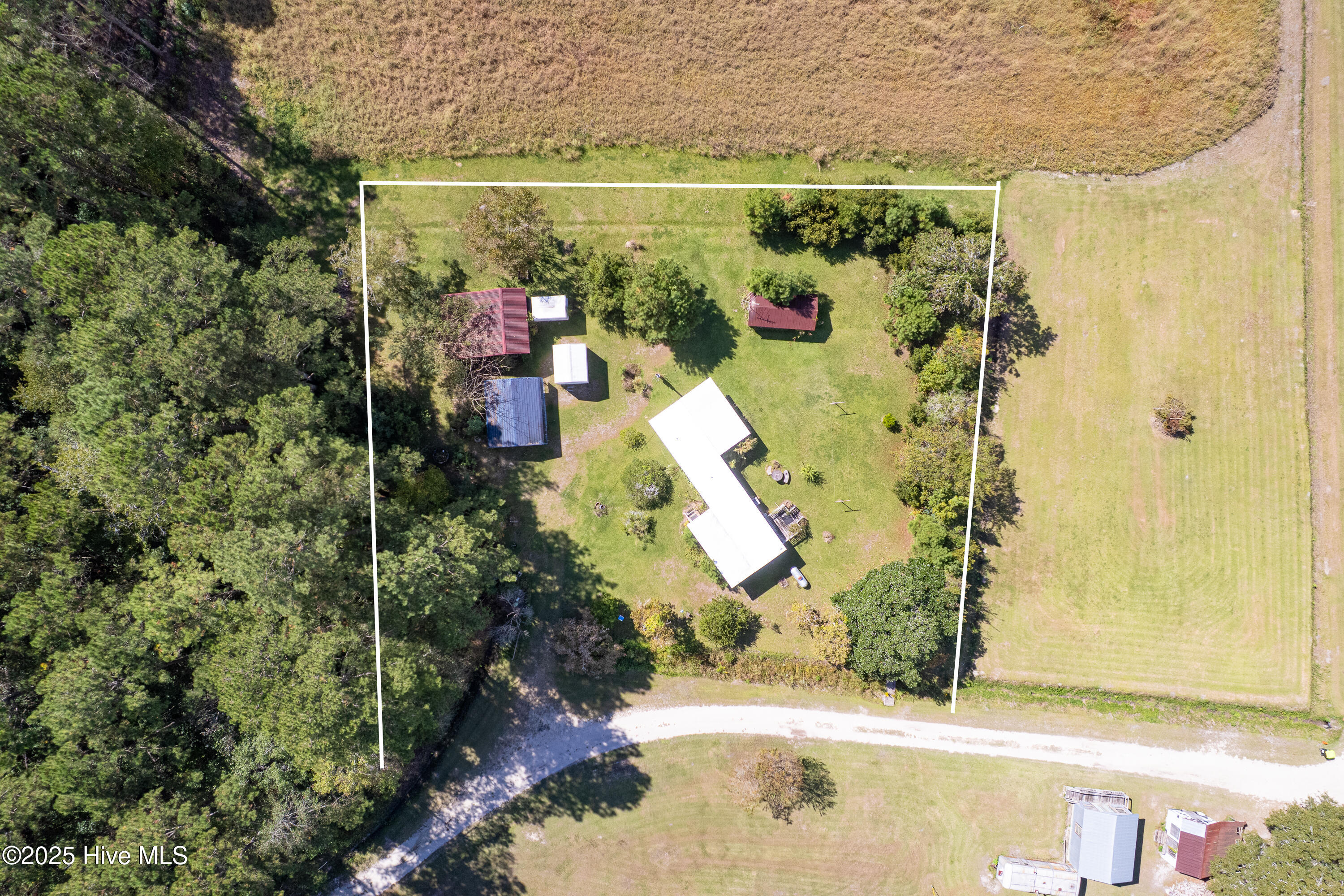 100534440 | Photo 10