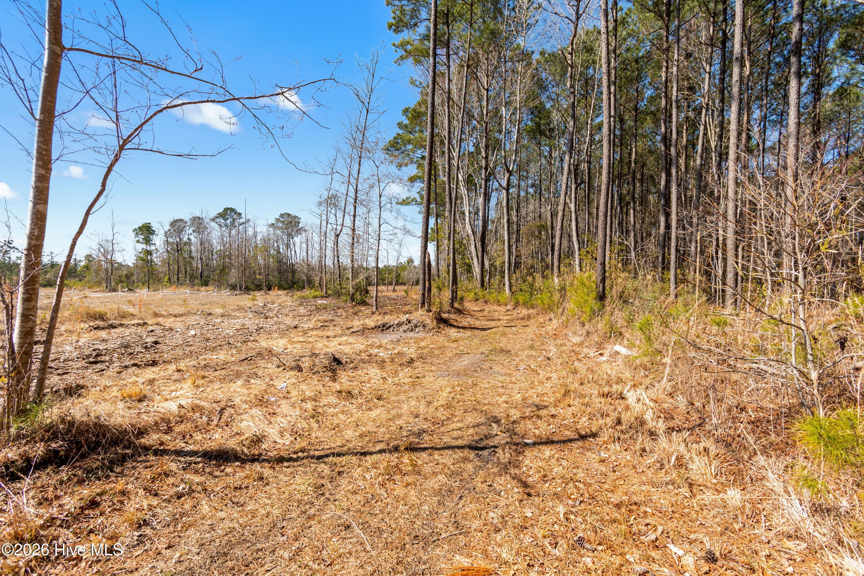 100556828 | Photo 34