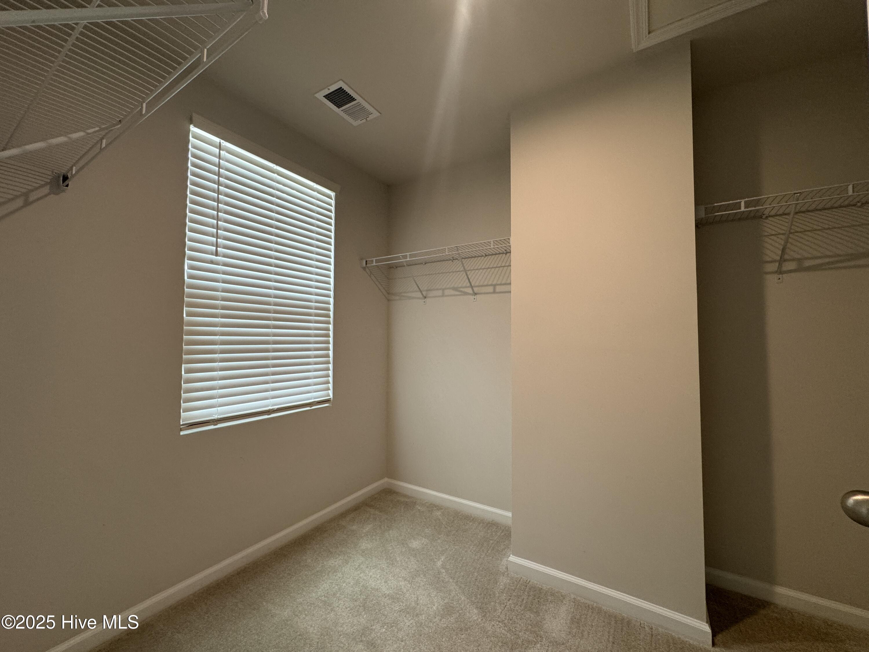 100542887 | Photo 24