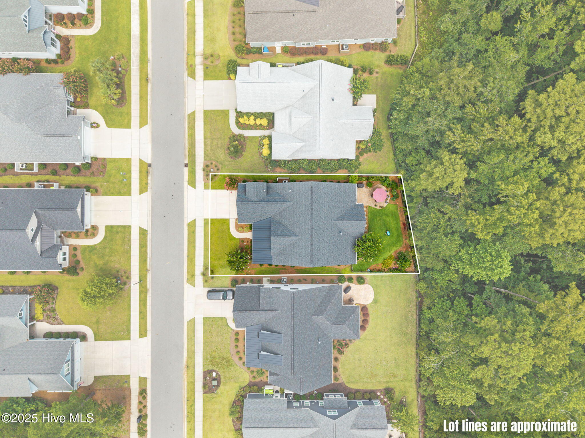 100529487 | Photo 41