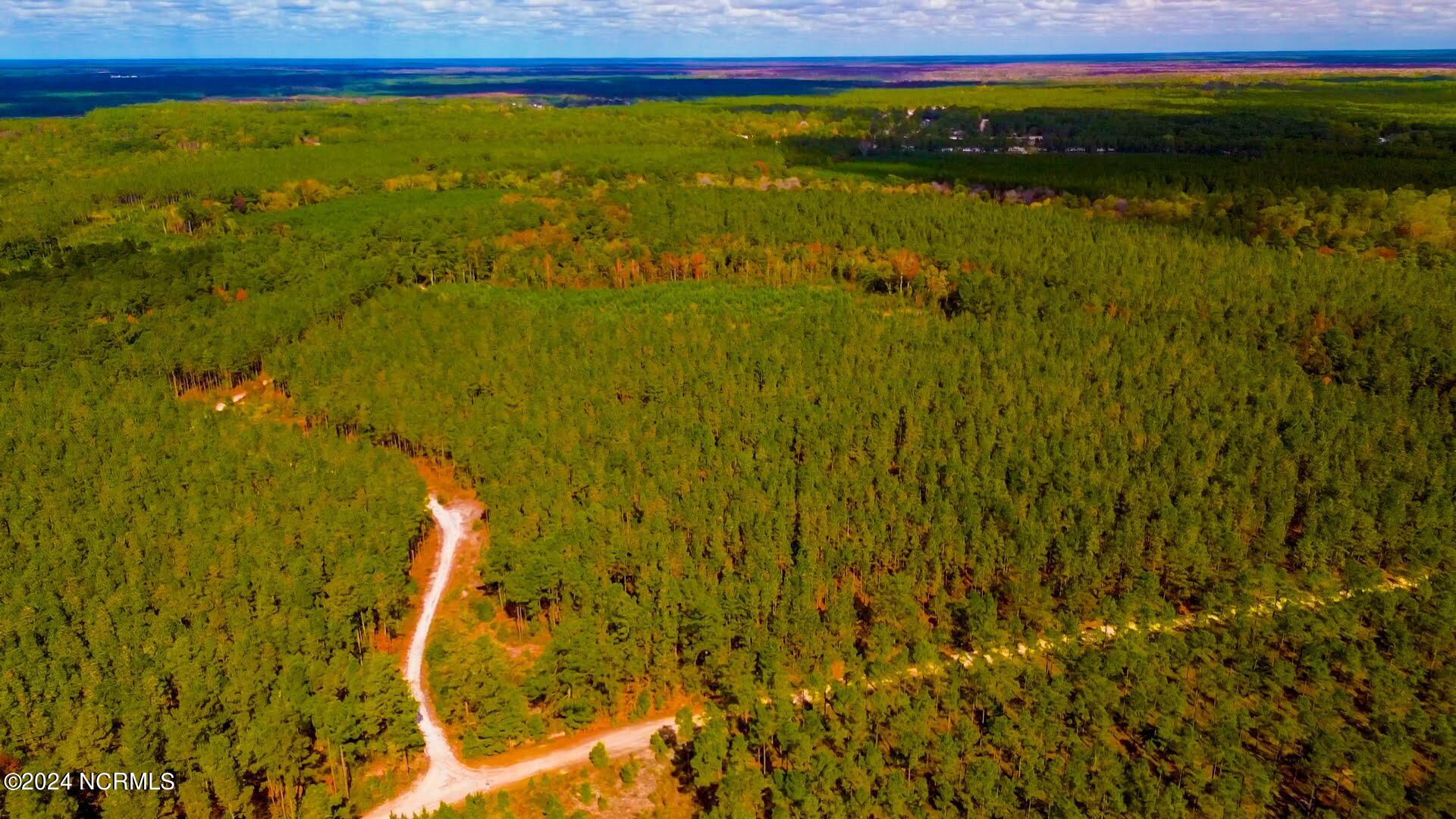 100429451 | Photo 13