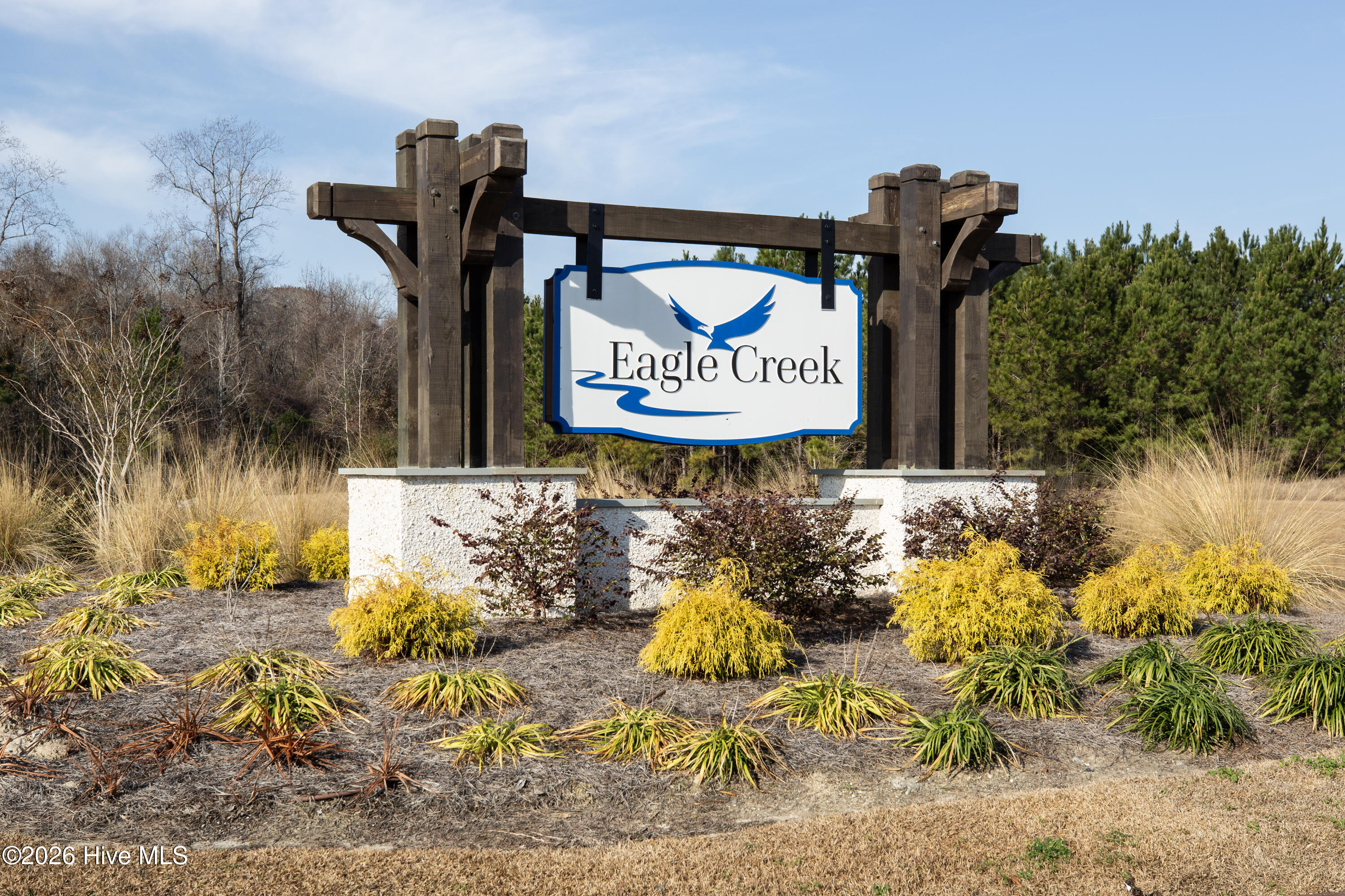 100565377 | Photo 20