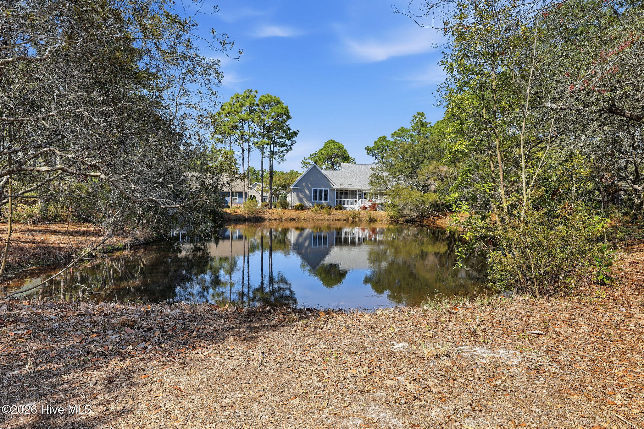 100560993 | Photo 17