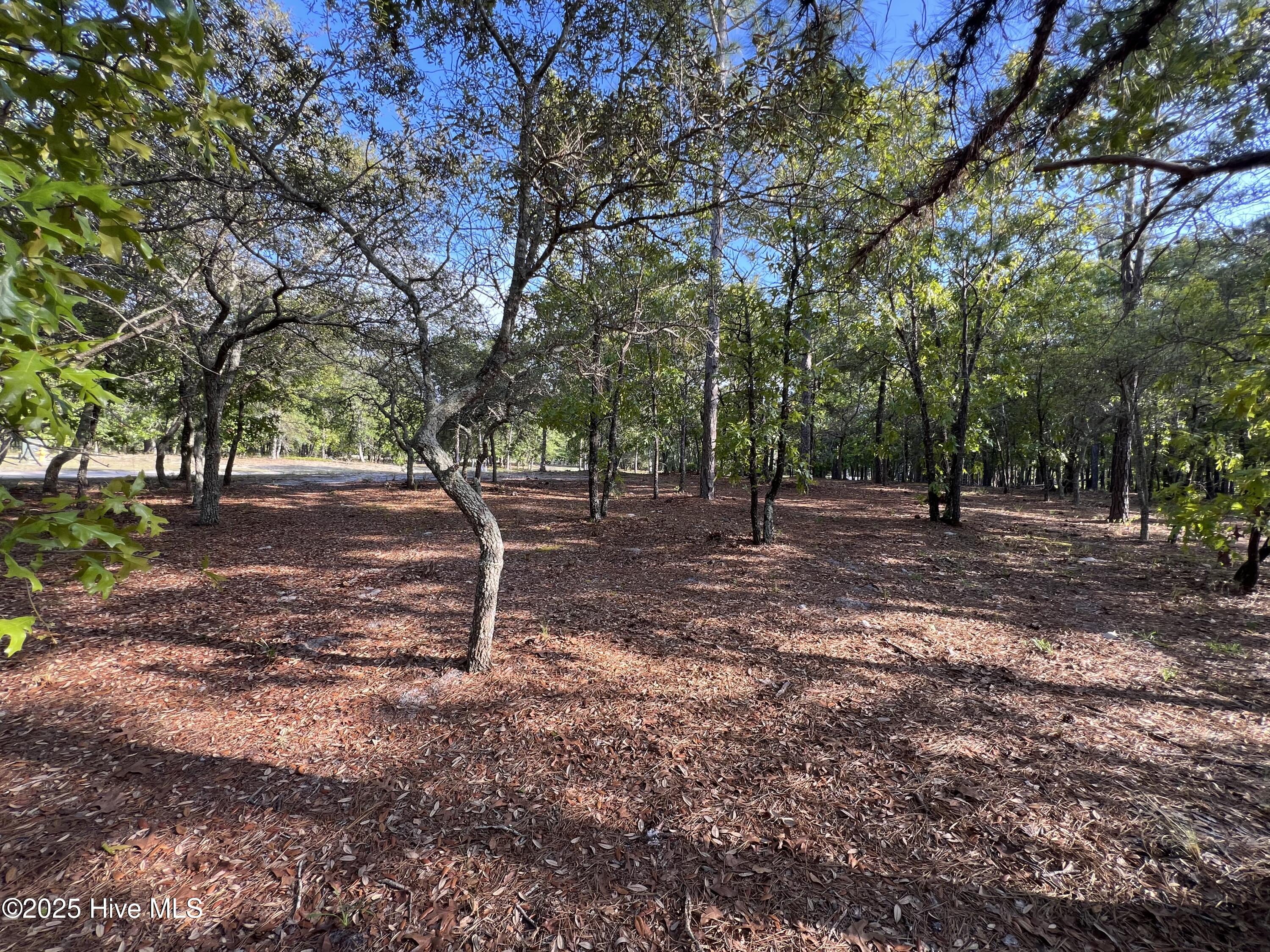 100506027 | Photo 35